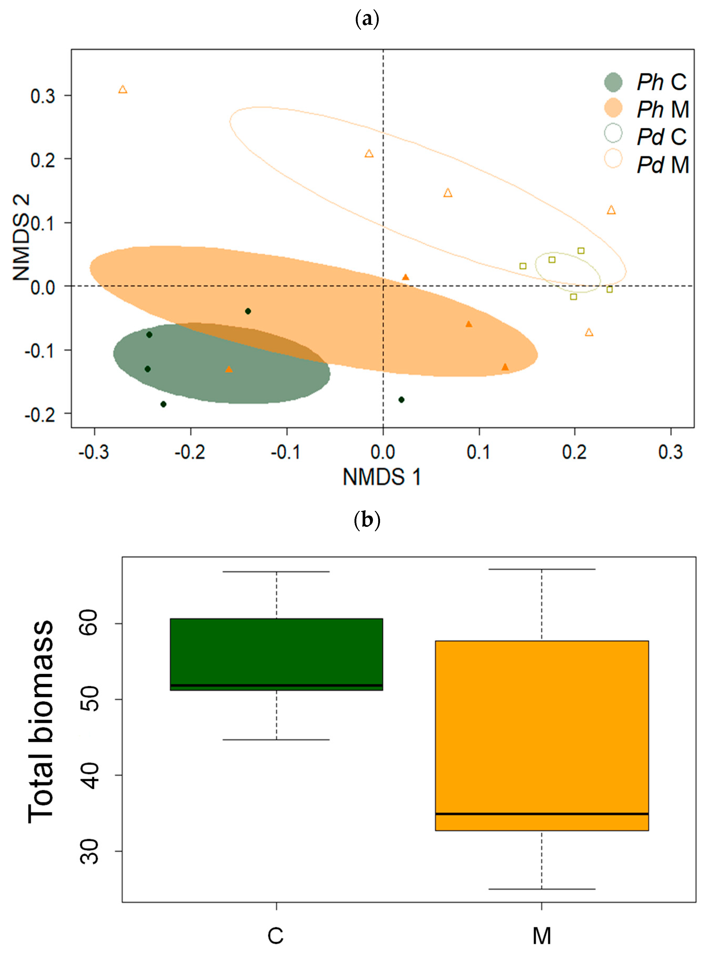 Forests 14 00008 g002