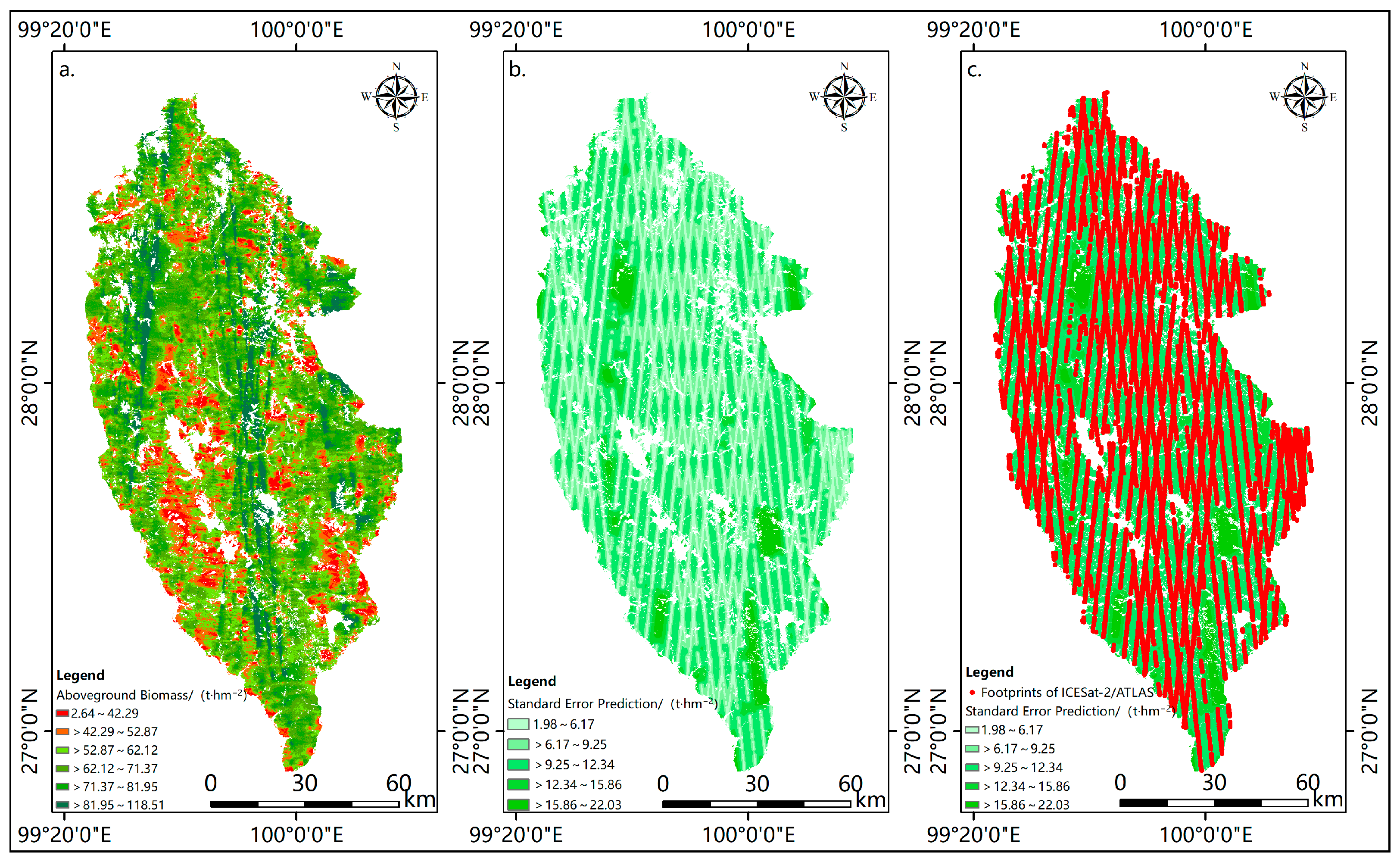 Forests 14 00013 g011
