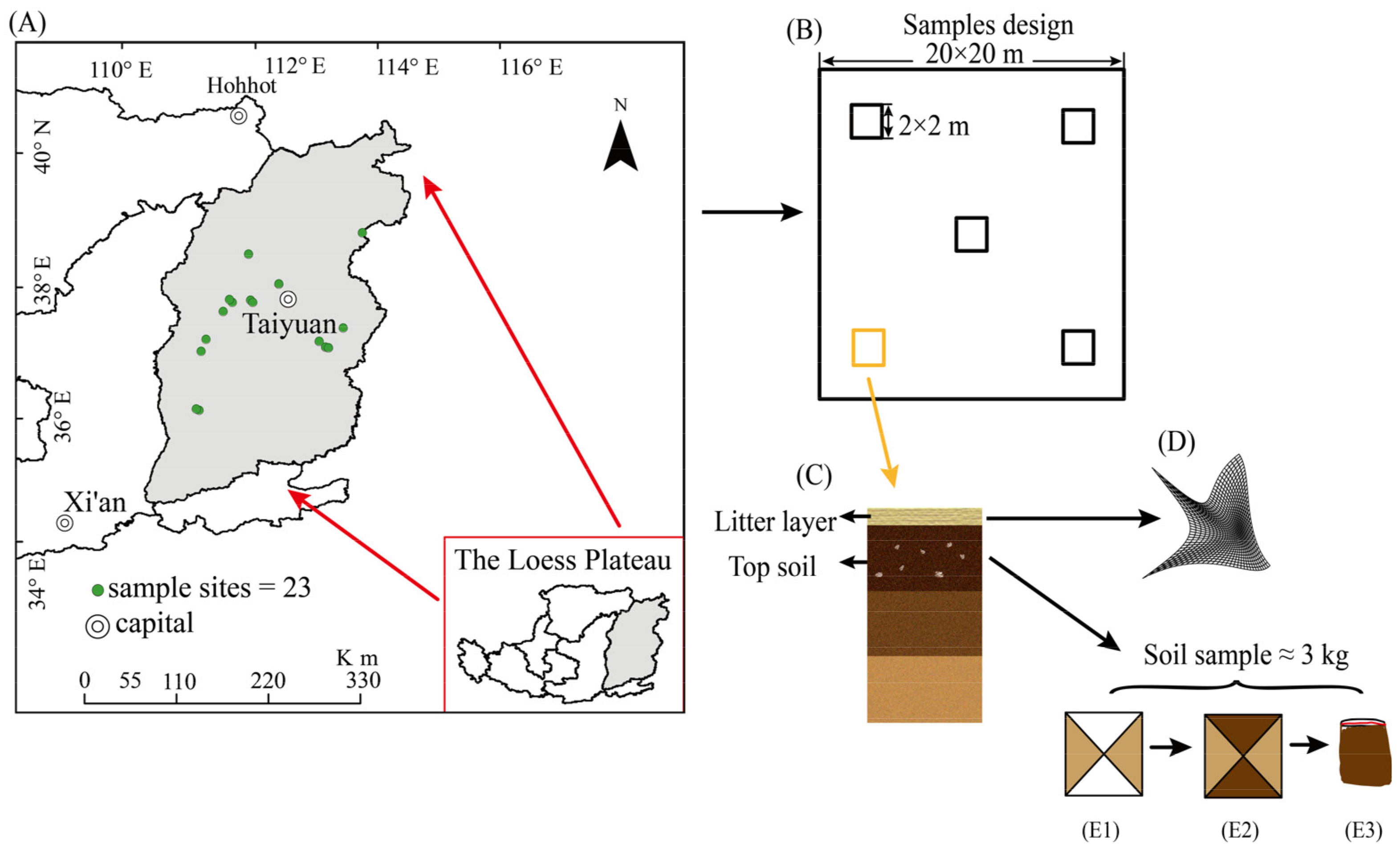 Forests 14 00044 g002