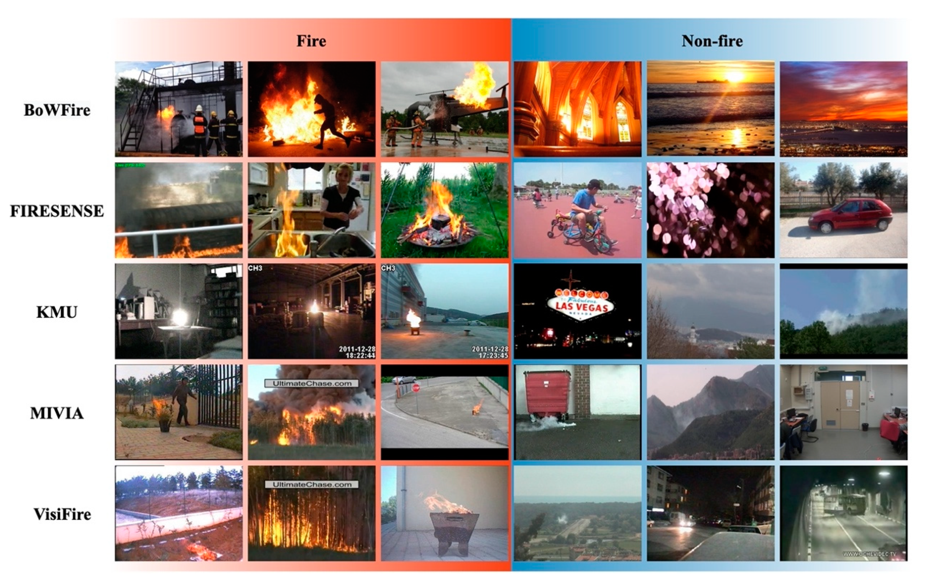 Forests 14 00052 g002