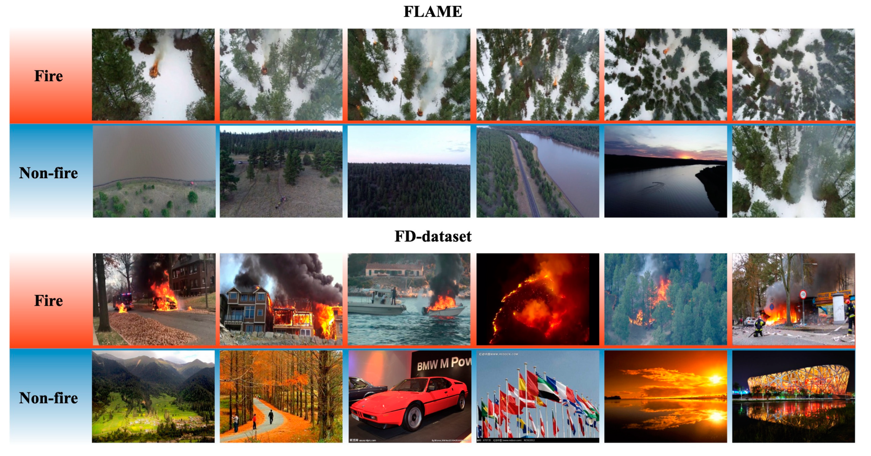 Forests 14 00052 g005