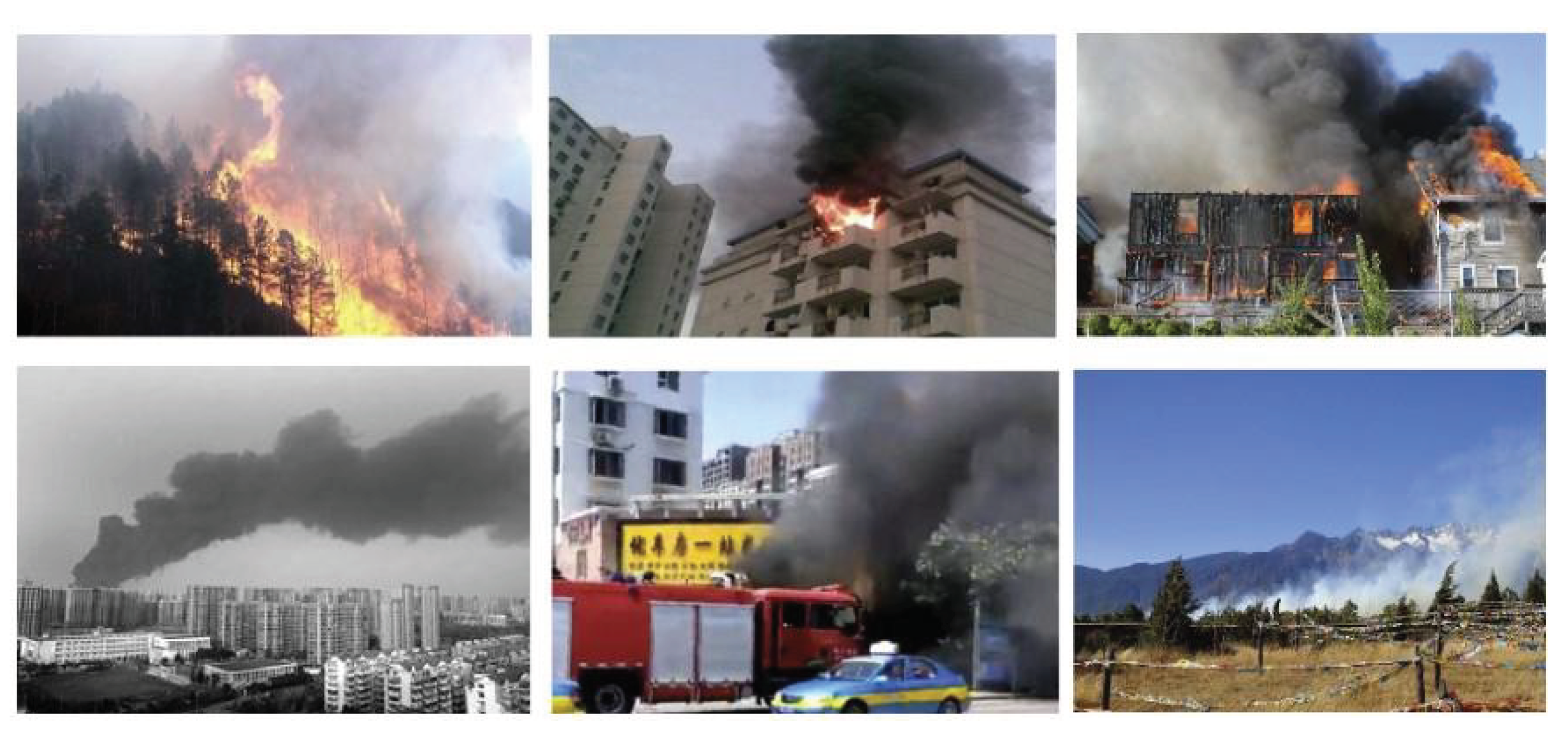 Forests 14 00053 g011 Forests 14 00053 g011