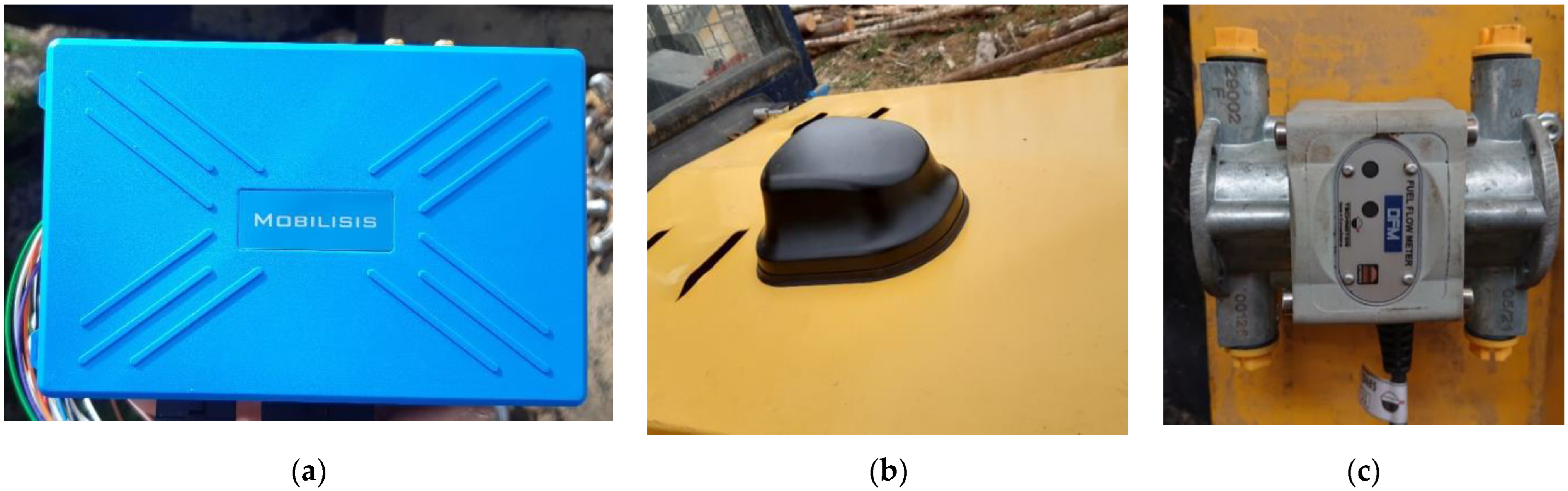 Forests 14 00058 g001 Forests 14 00058 g001