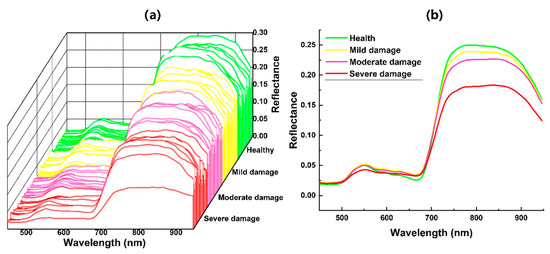 Forests 14 00061 g0a1
