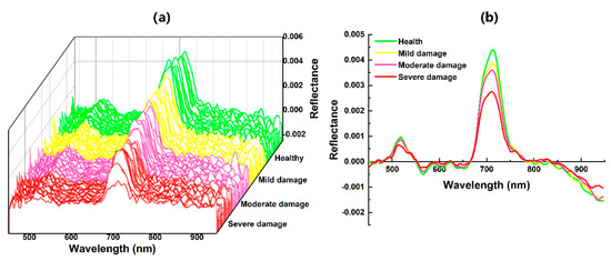 Forests 14 00061 g0a2