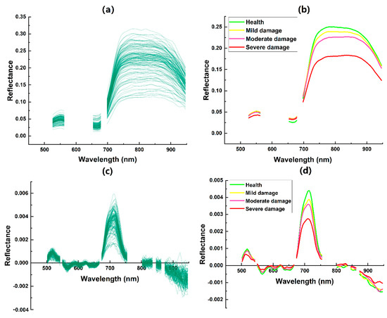 Forests 14 00061 g0a4
