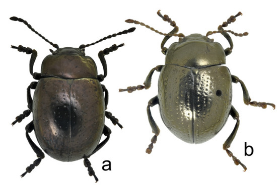 Forests 14 00066 g013