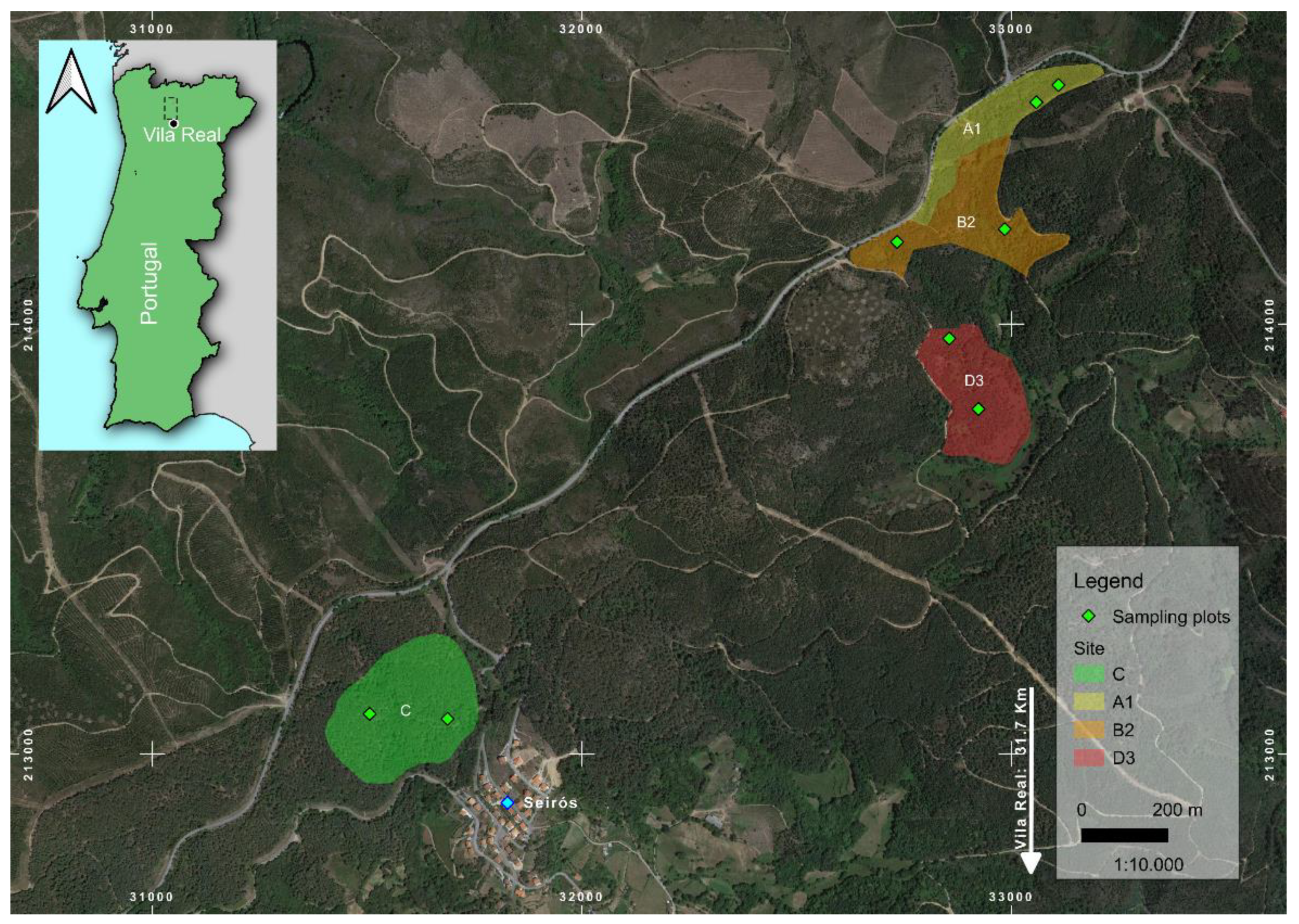 Forests 14 00078 g001