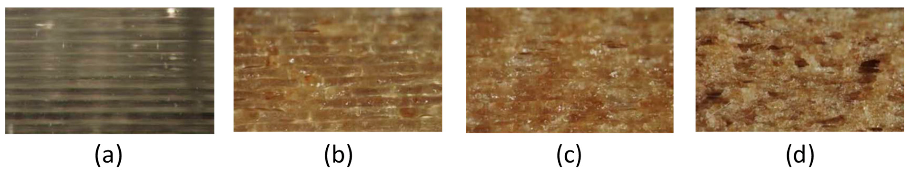 Forests 14 00095 g011