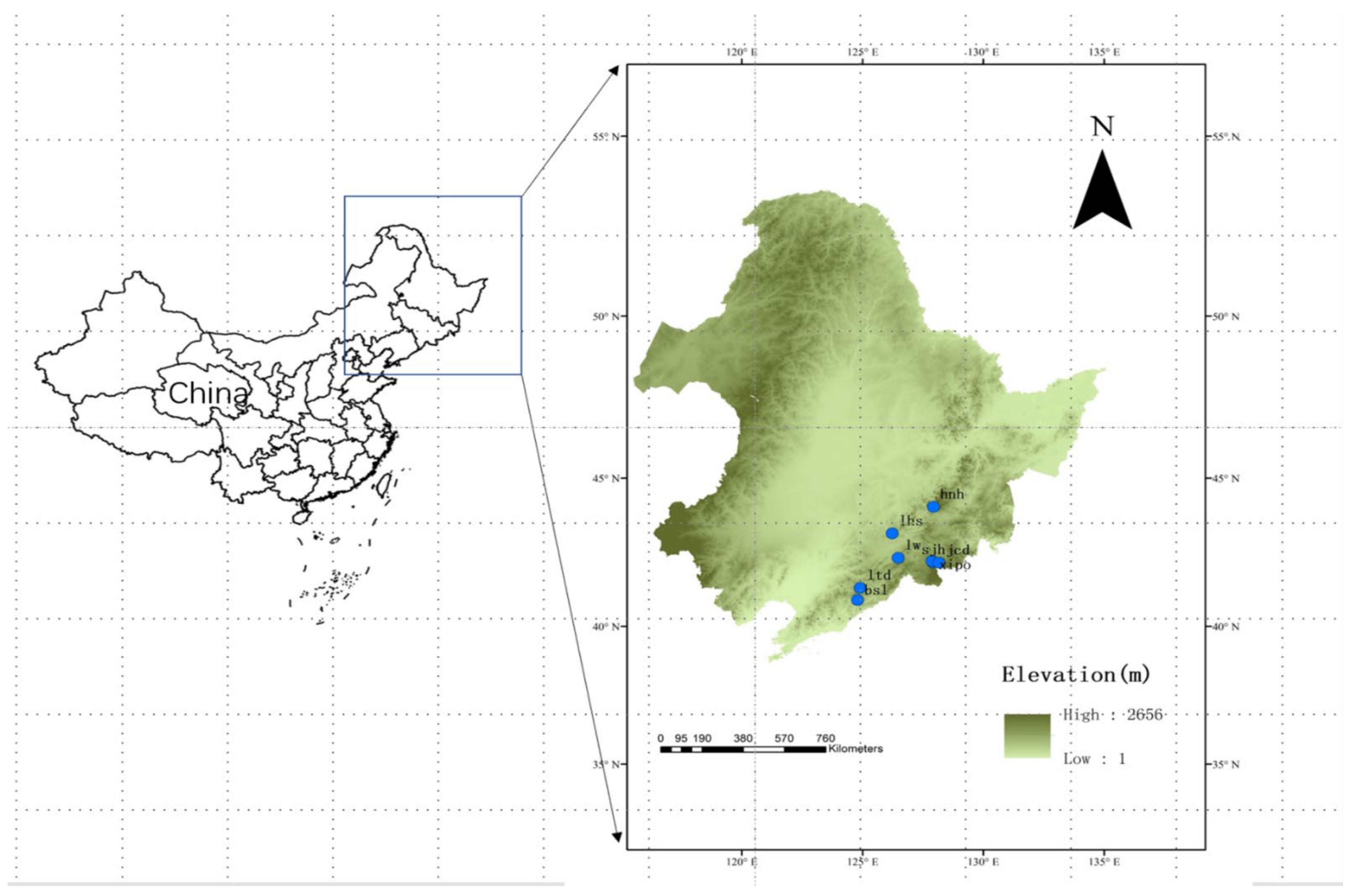 Forests 14 00098 g001