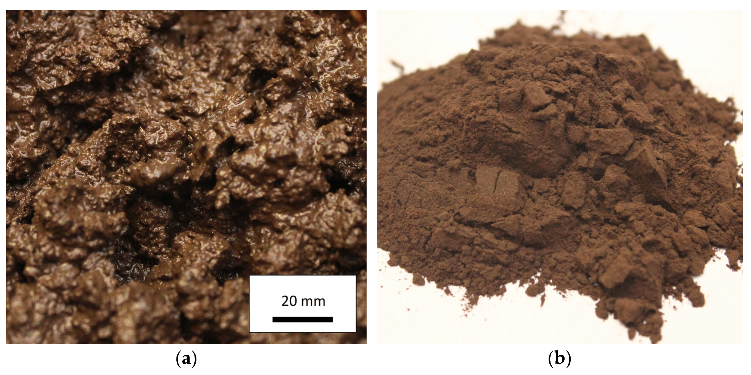 Forests 14 00110 g001 Forests 14 00110 g001