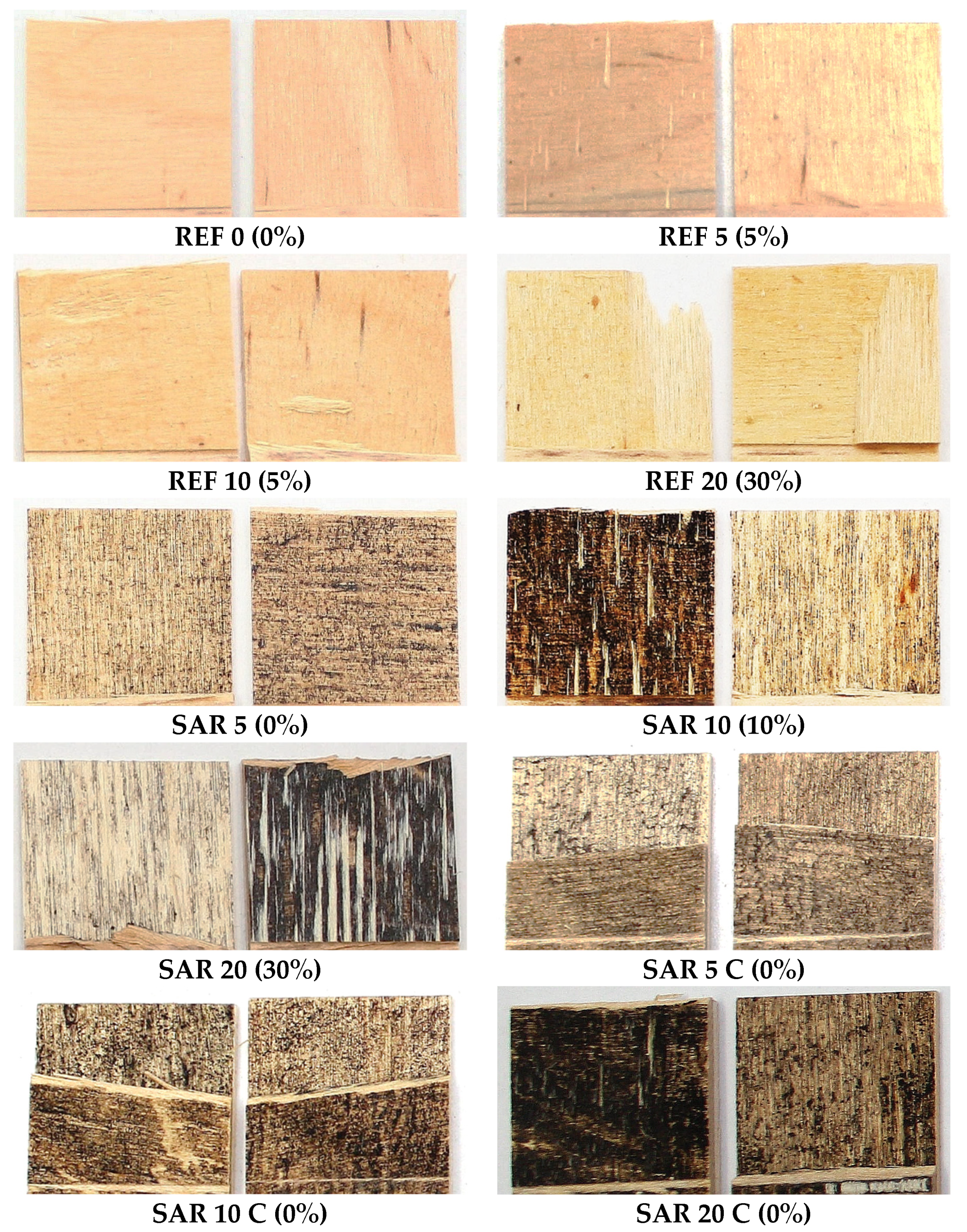 Forests 14 00110 g004 Forests 14 00110 g004