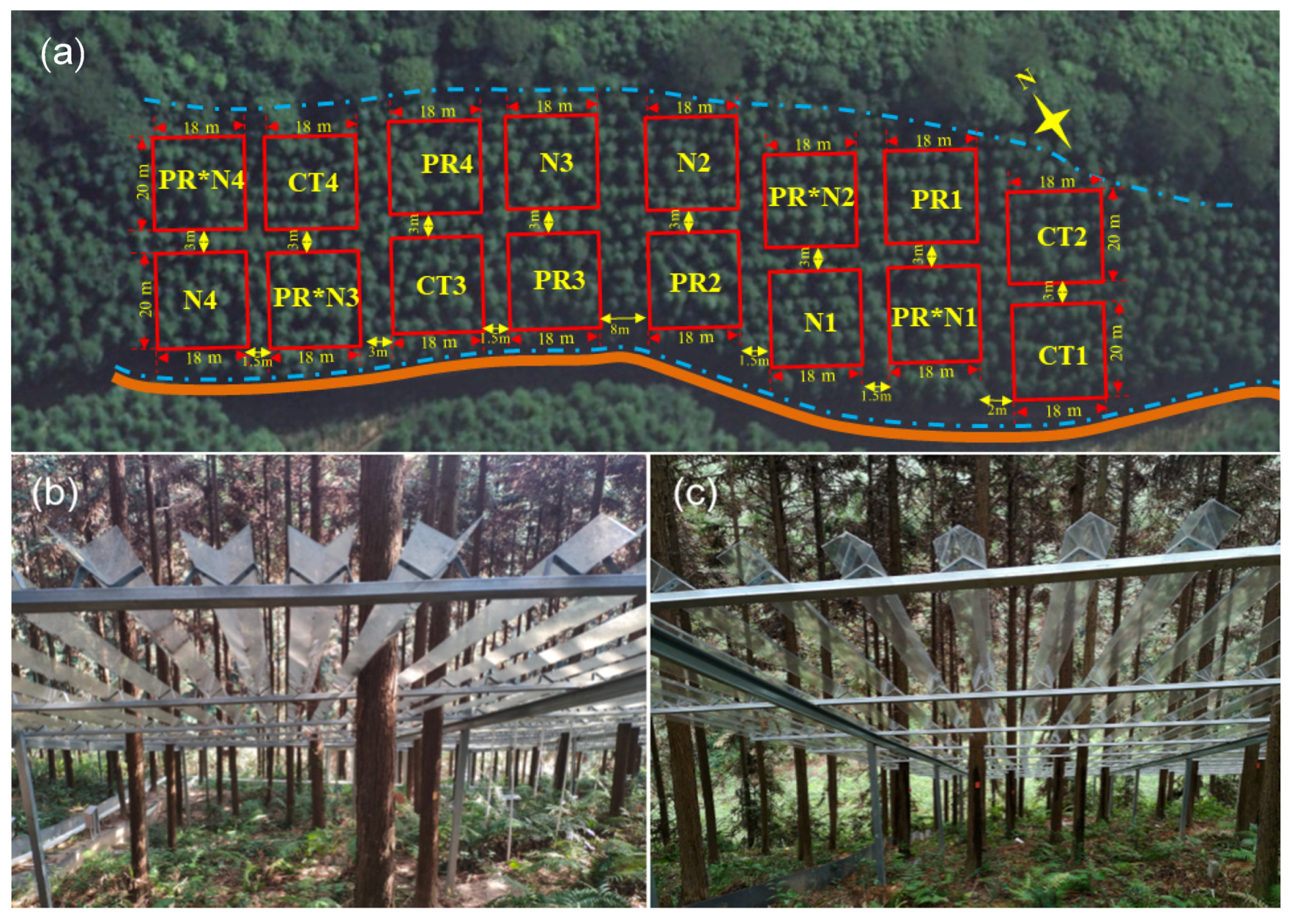 Forests 14 00114 g001 Forests 14 00114 g001