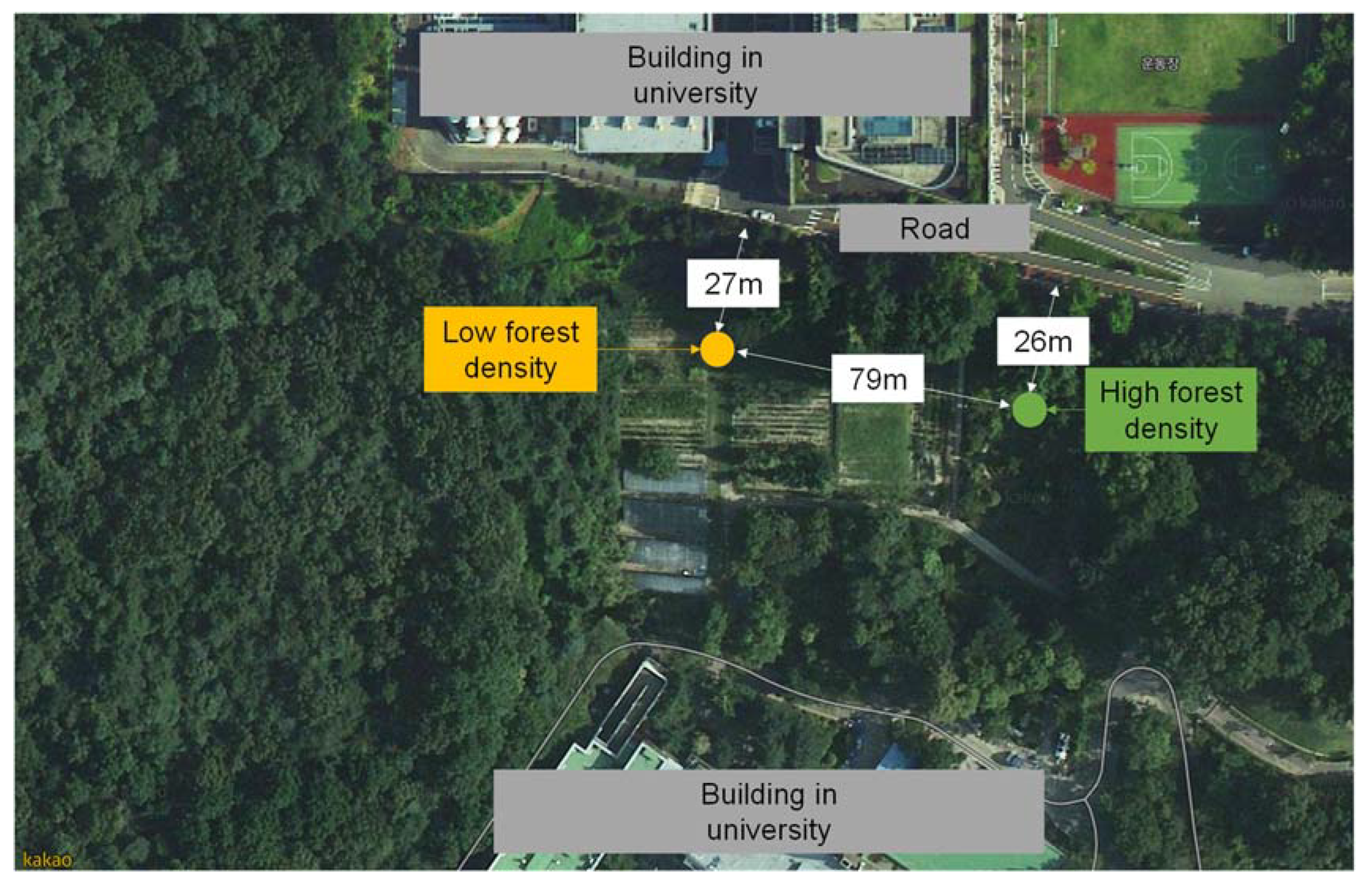 Forests 14 00120 g001 Forests 14 00120 g001