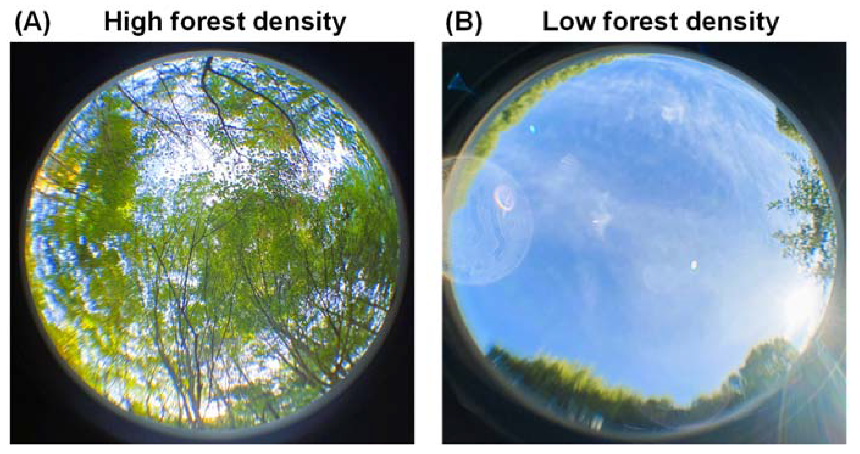 Forests 14 00120 g002 Forests 14 00120 g002