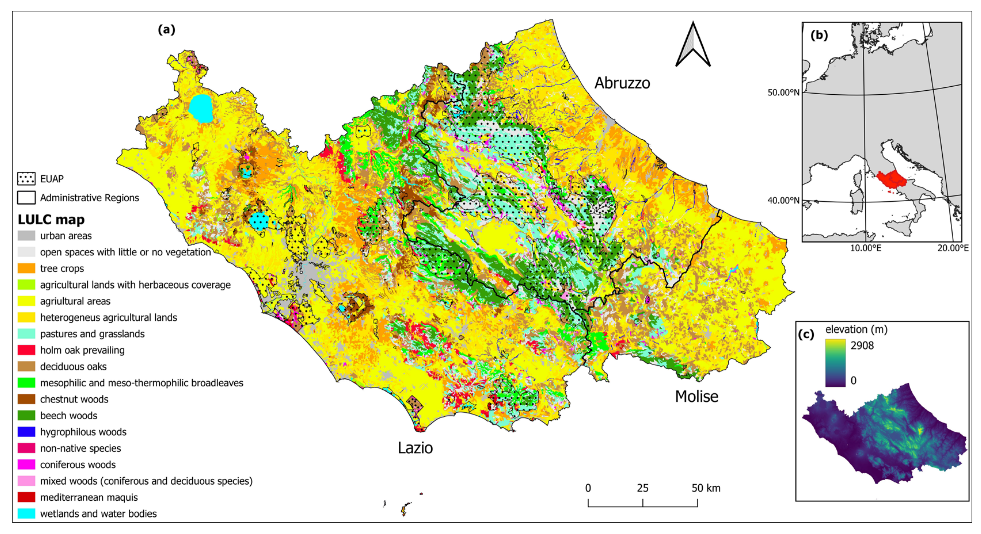 Forests 14 00145 g001