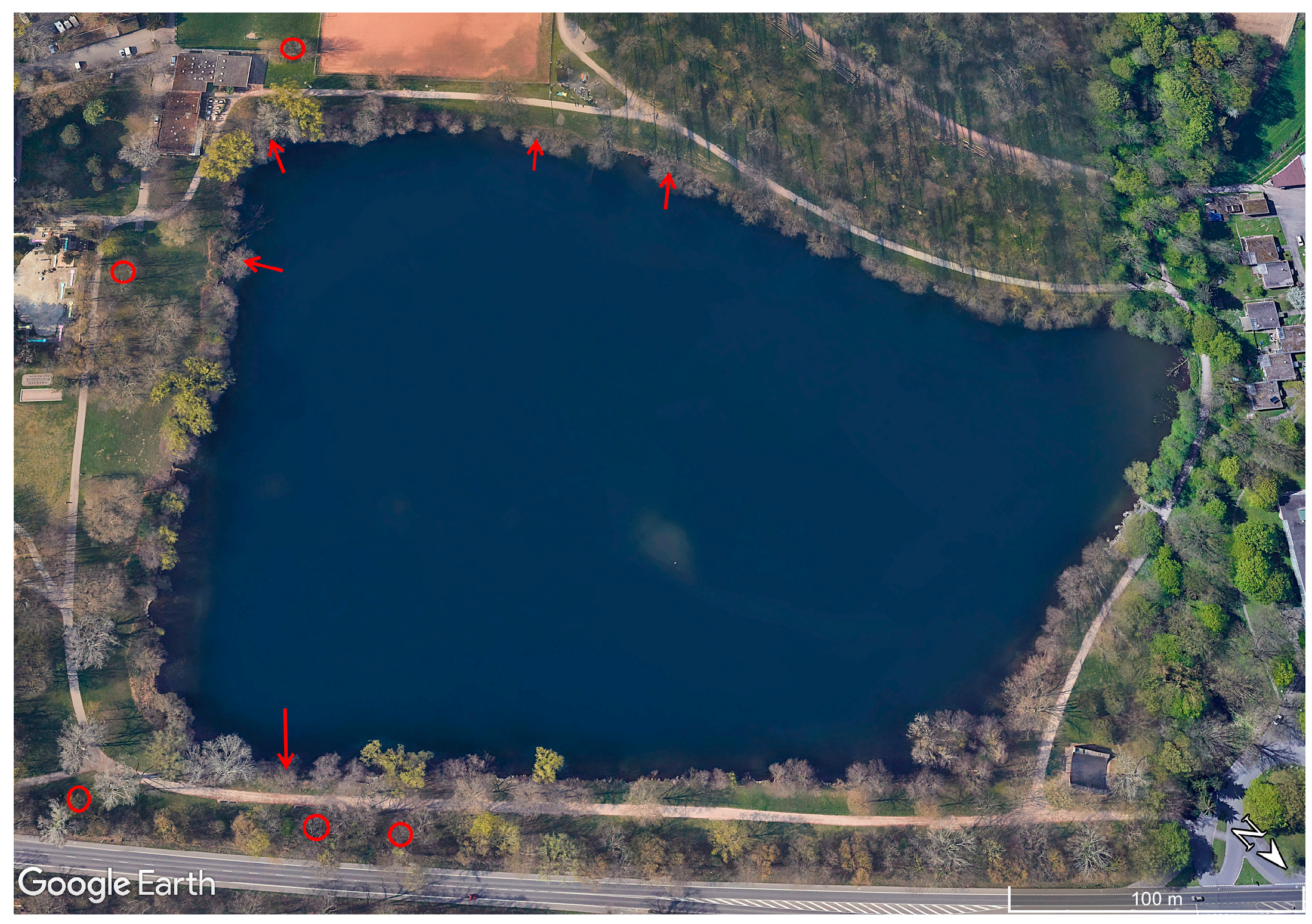 Forests 14 00151 g001