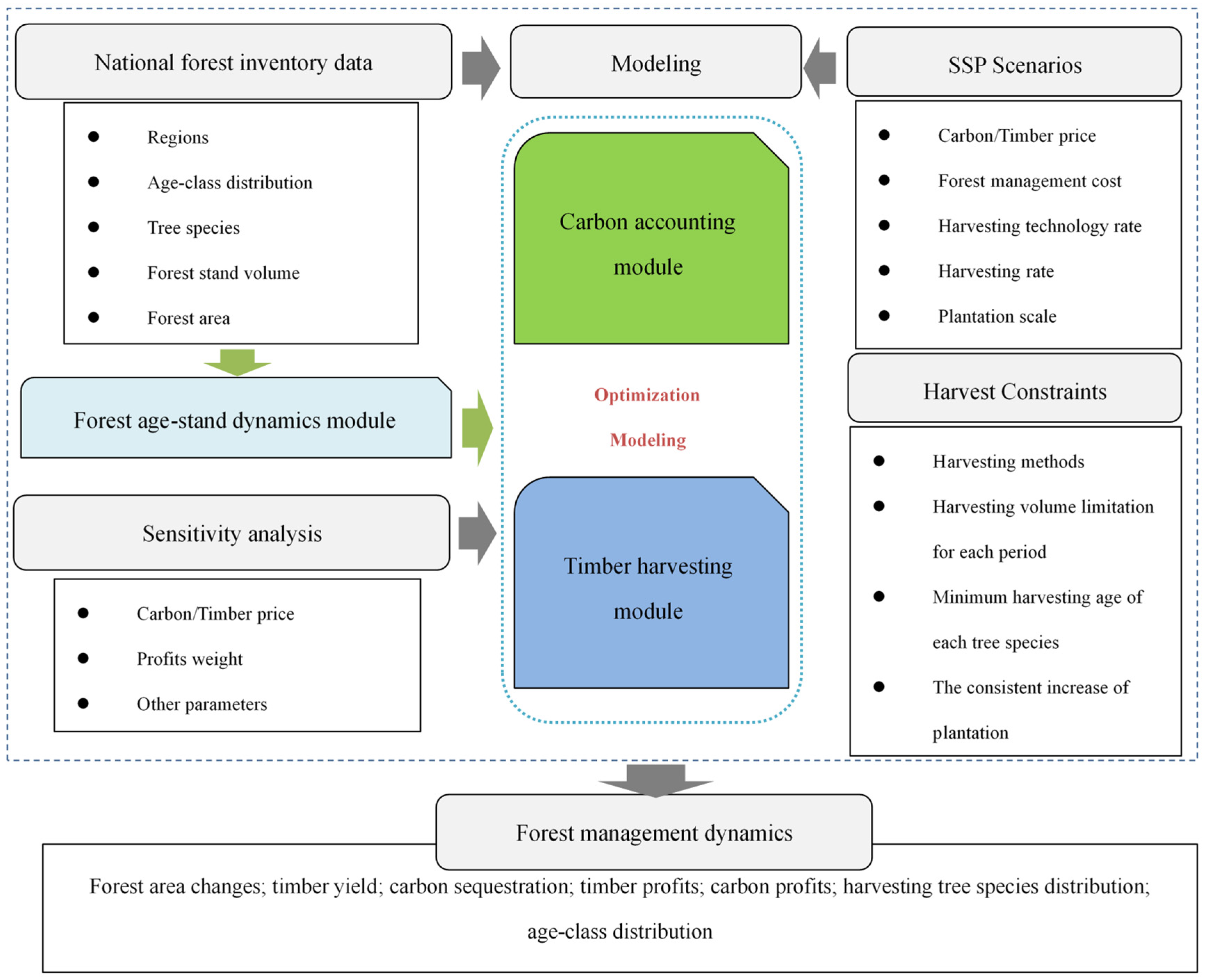 Forests 14 00153 g001