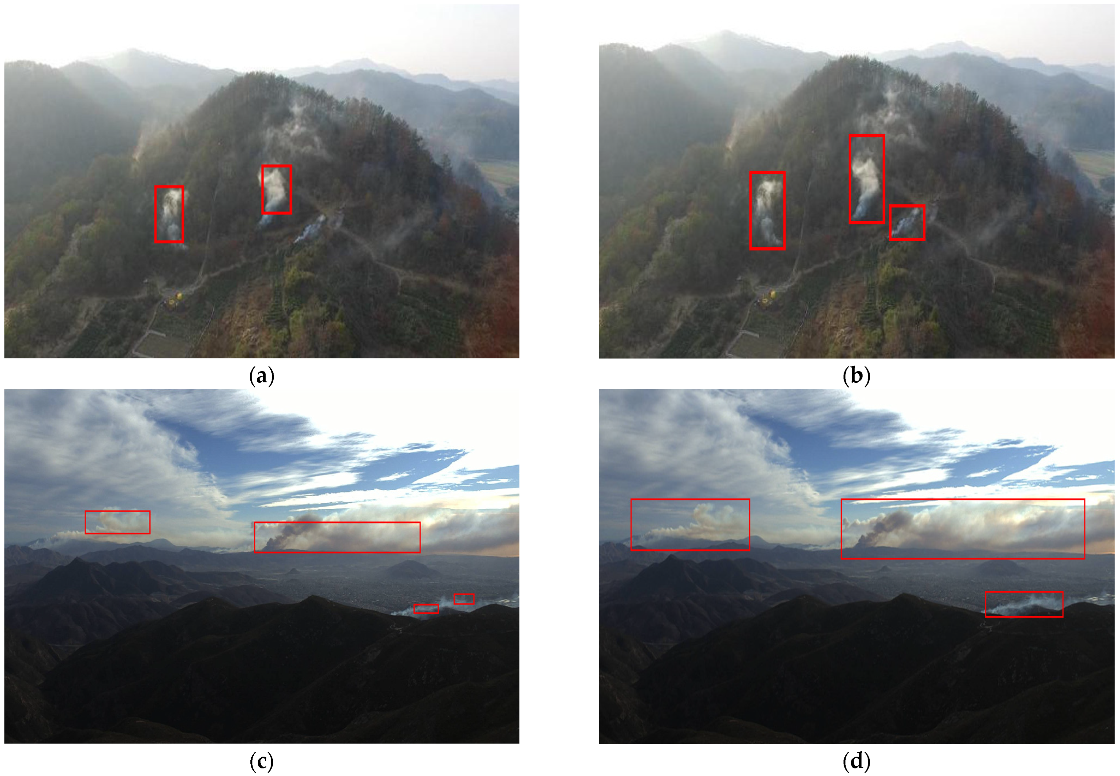Forests 14 00162 g006