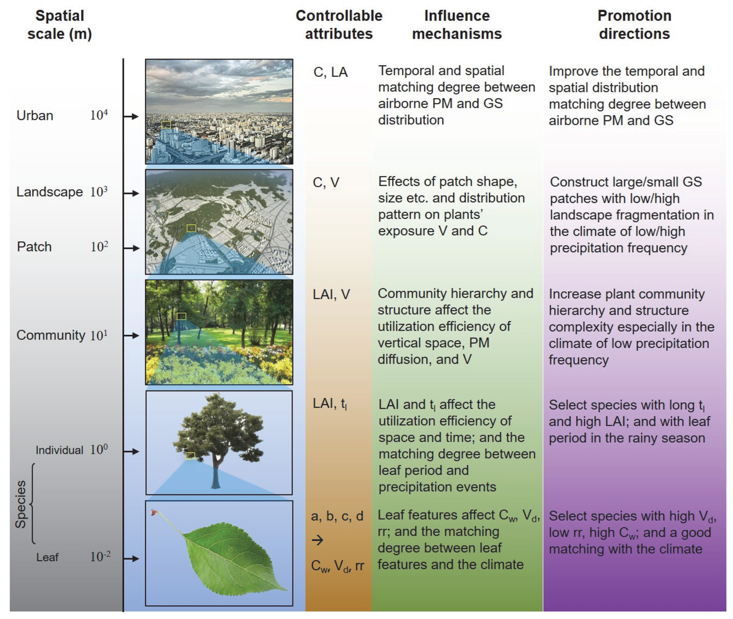 Forests 14 00175 g001