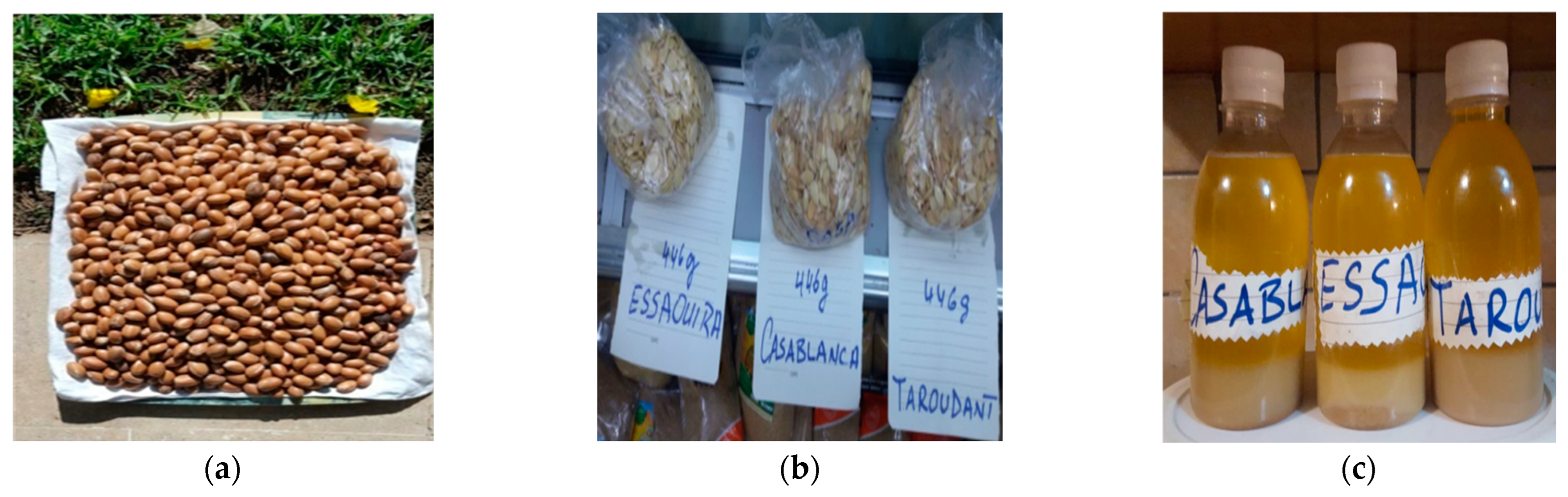 Forests 14 00180 g001 Forests 14 00180 g001