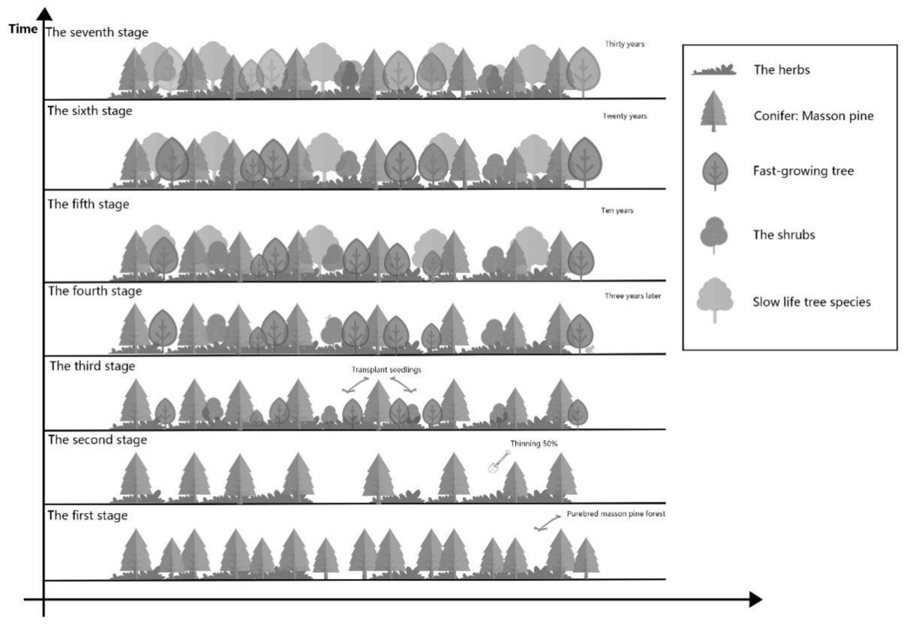 Forests 14 00181 g011 Forests 14 00181 g011