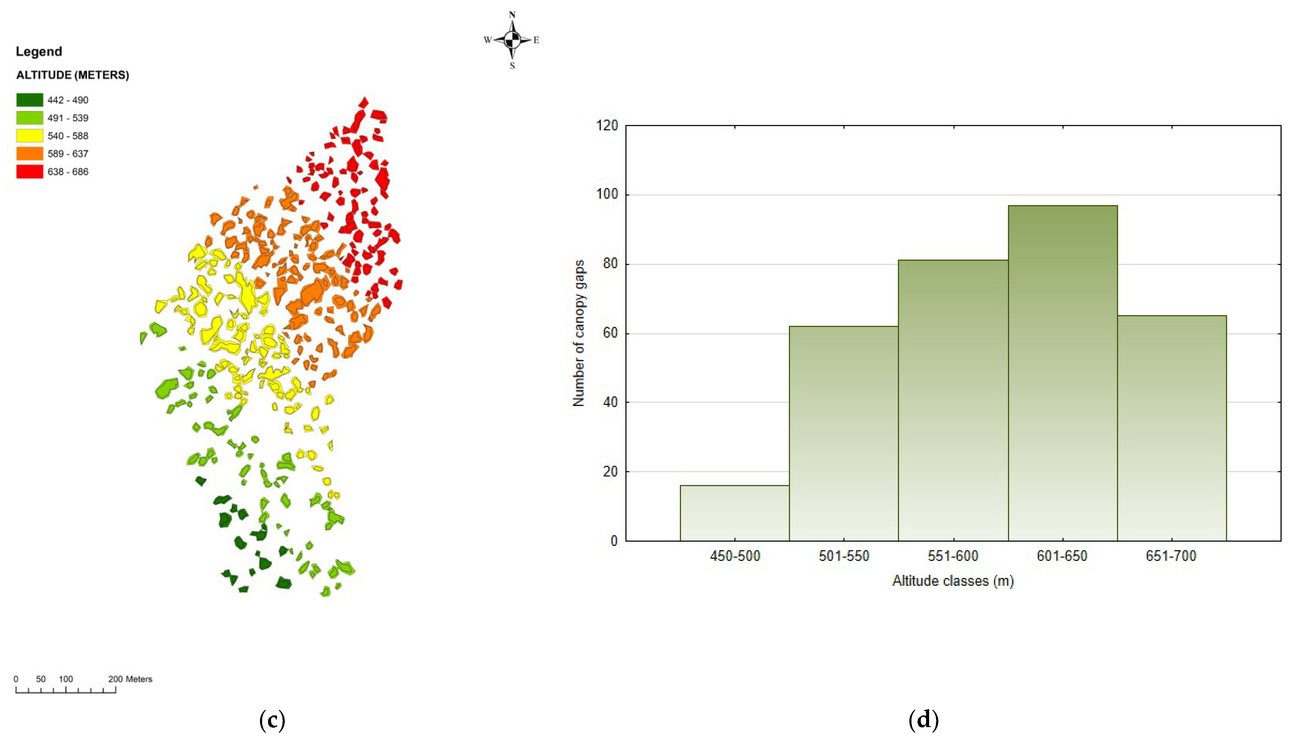 Forests 14 00188 g003b