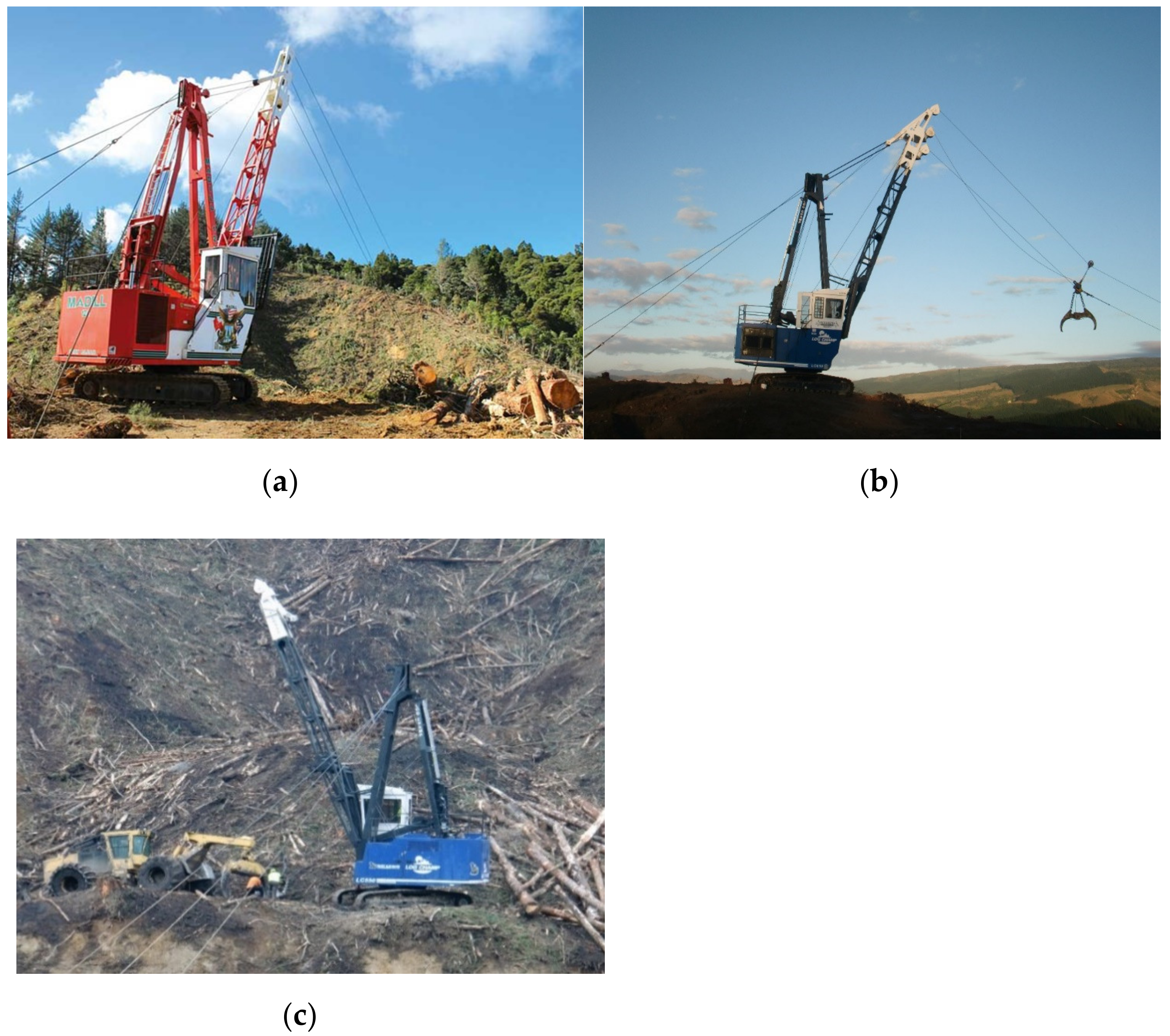 Forests 14 00190 g001