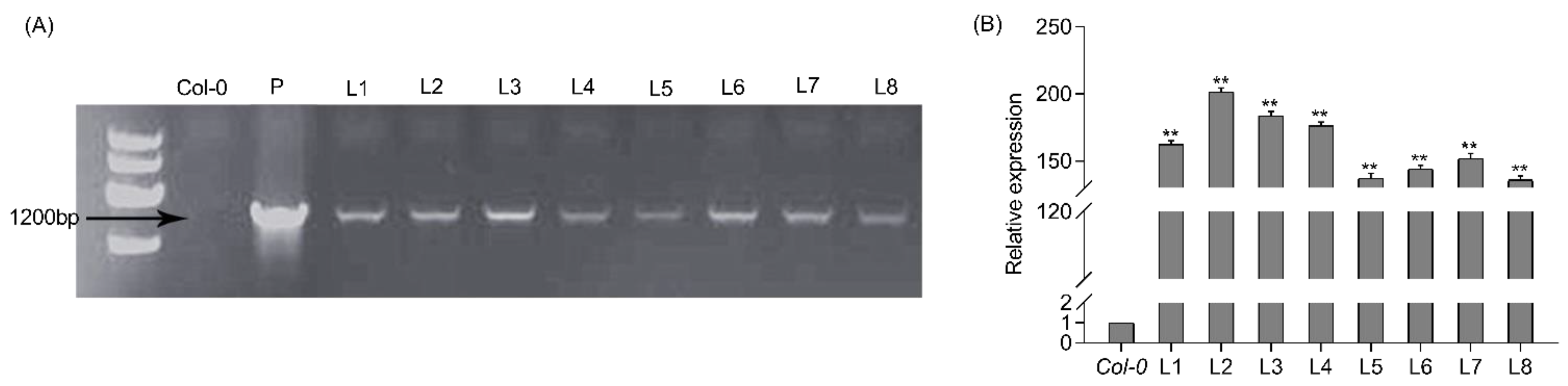 Forests 14 00191 g002