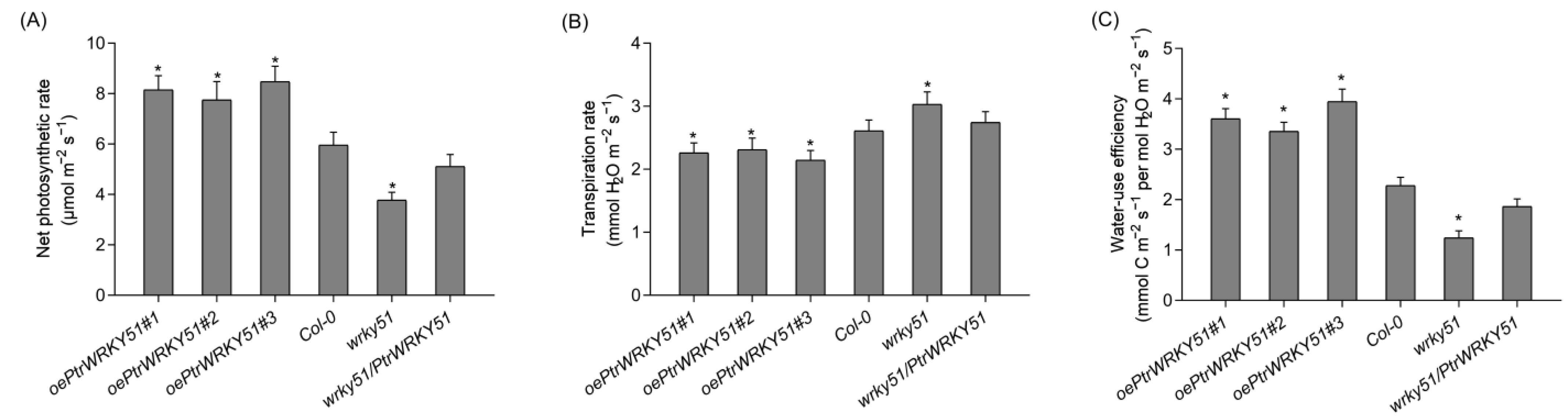 Forests 14 00191 g004
