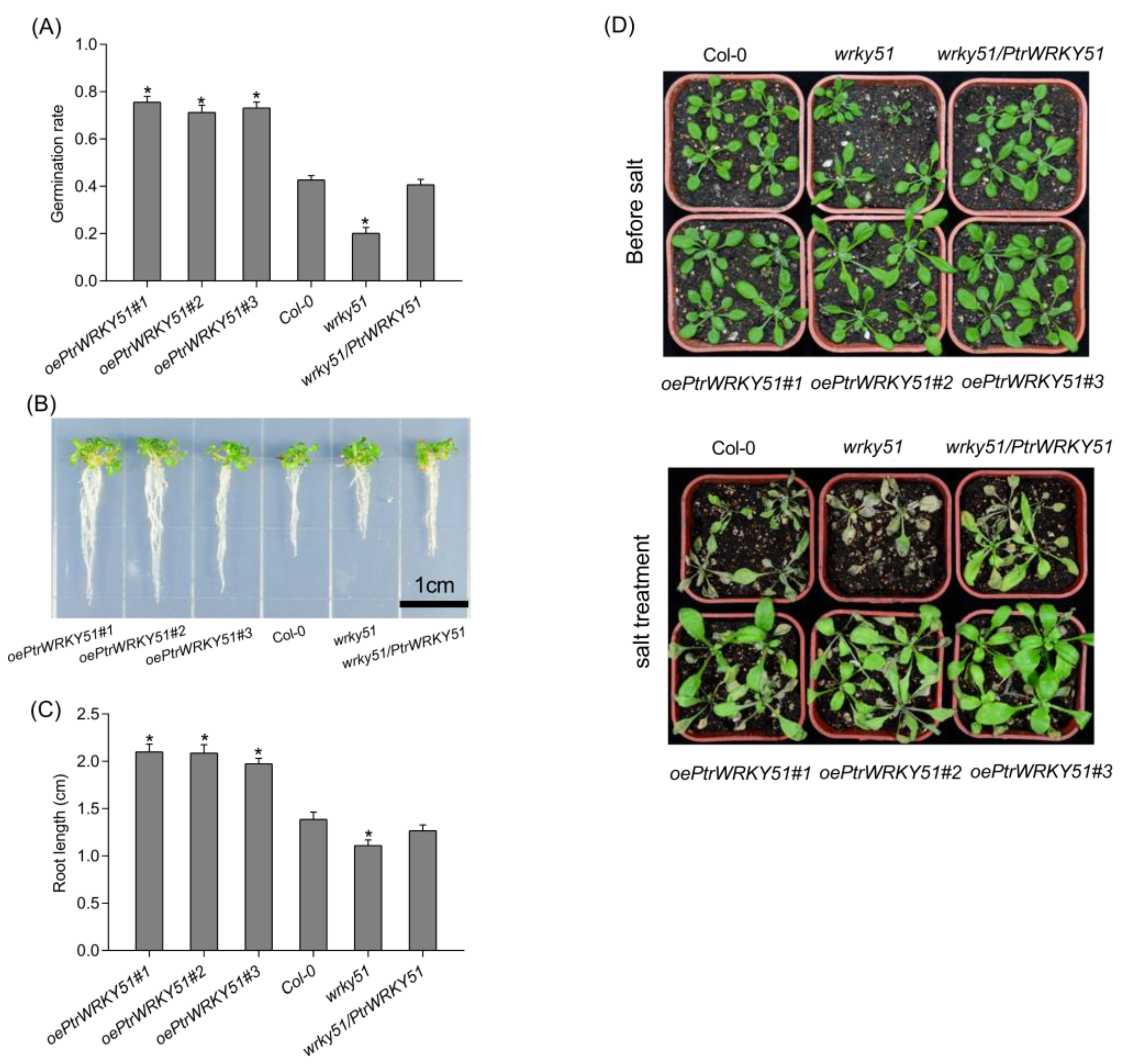 Forests 14 00191 g005