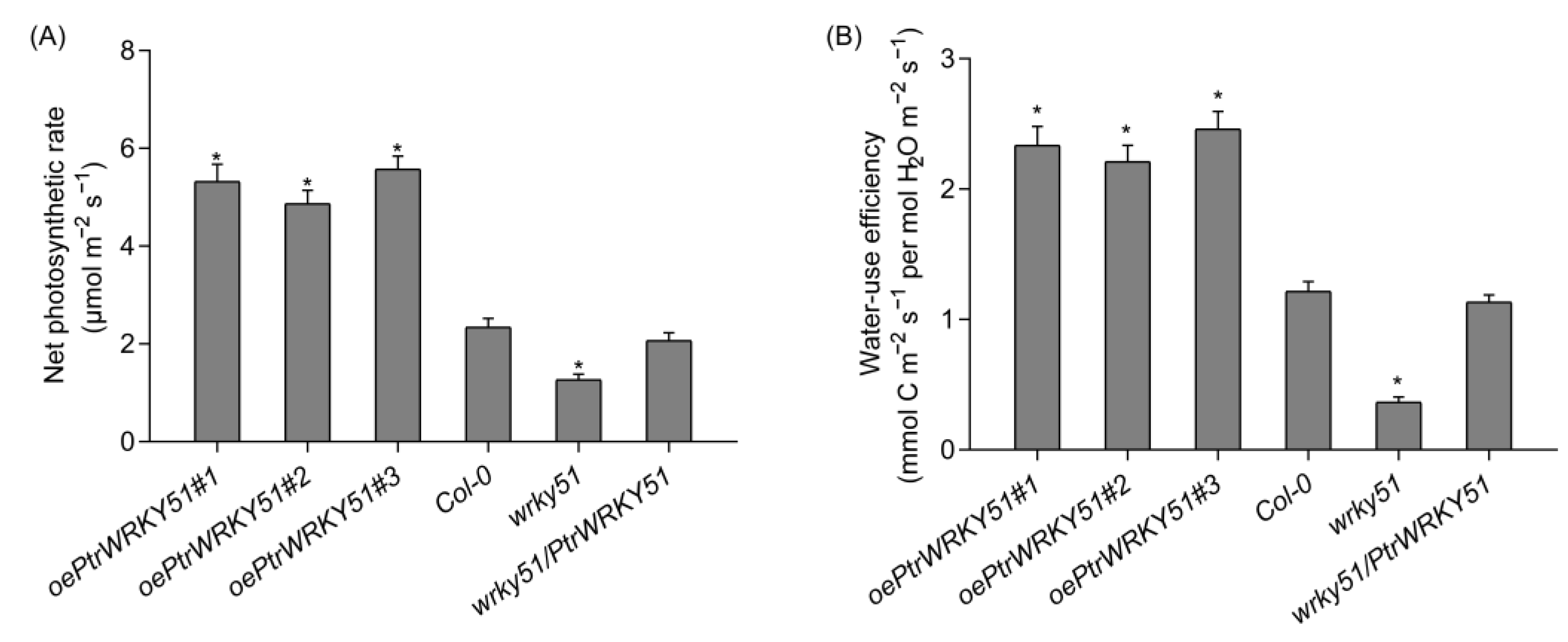 Forests 14 00191 g006