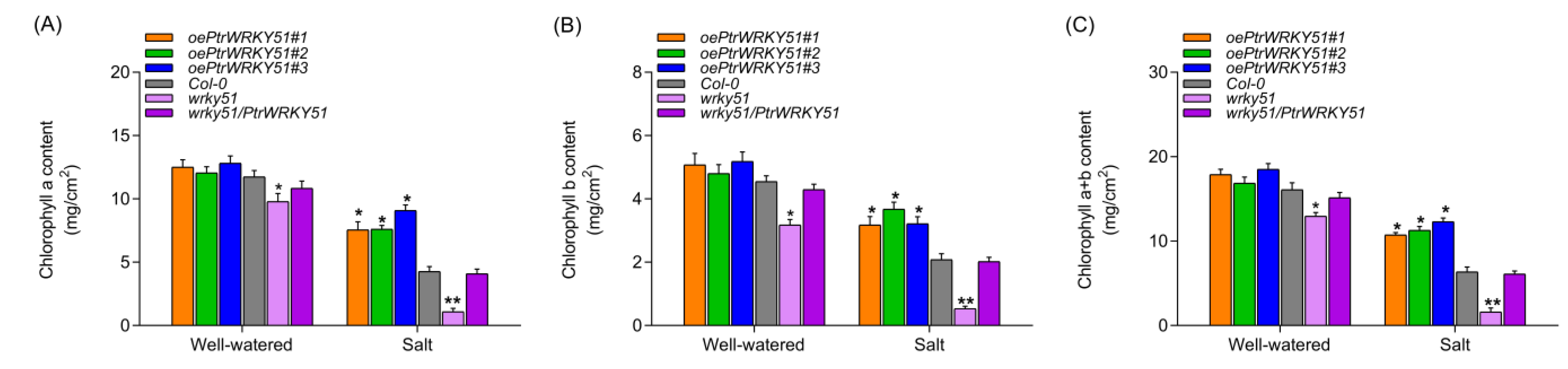 Forests 14 00191 g007