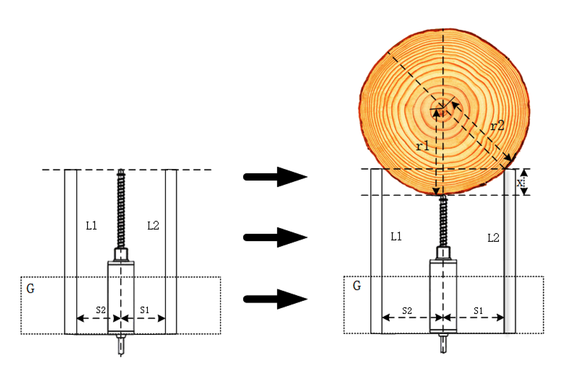 Forests 14 00192 g006