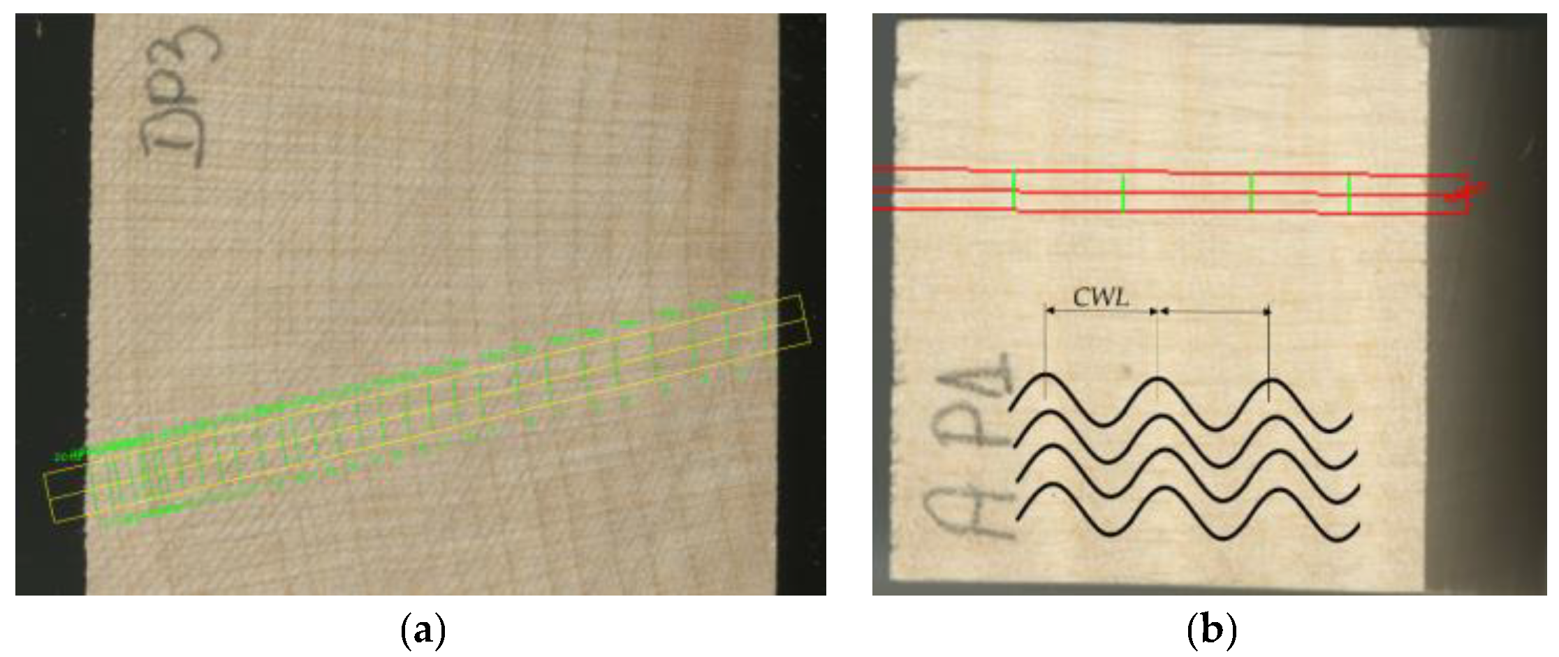 Forests 14 00197 g002