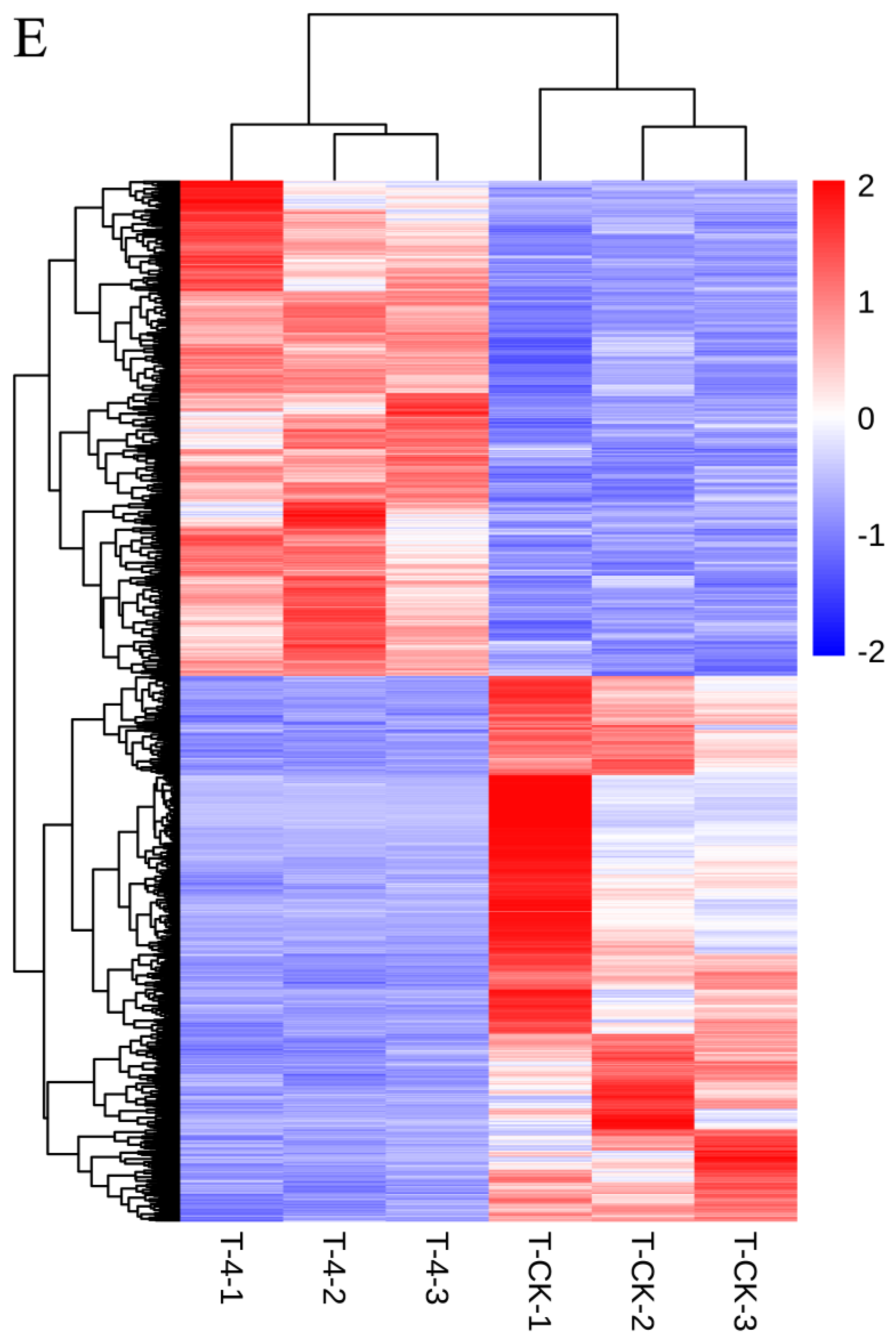 Forests 14 00198 g002c