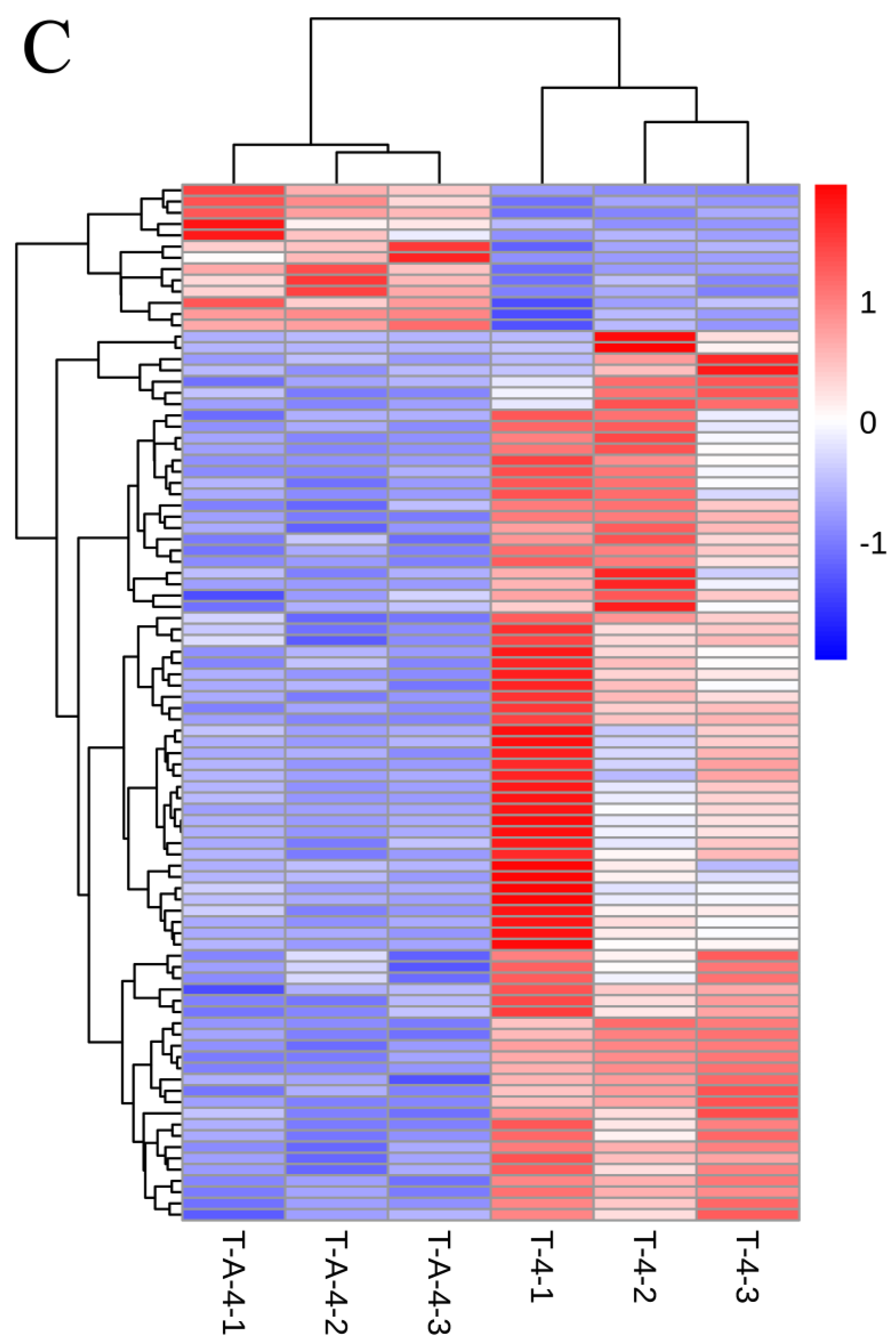 Forests 14 00198 g004b