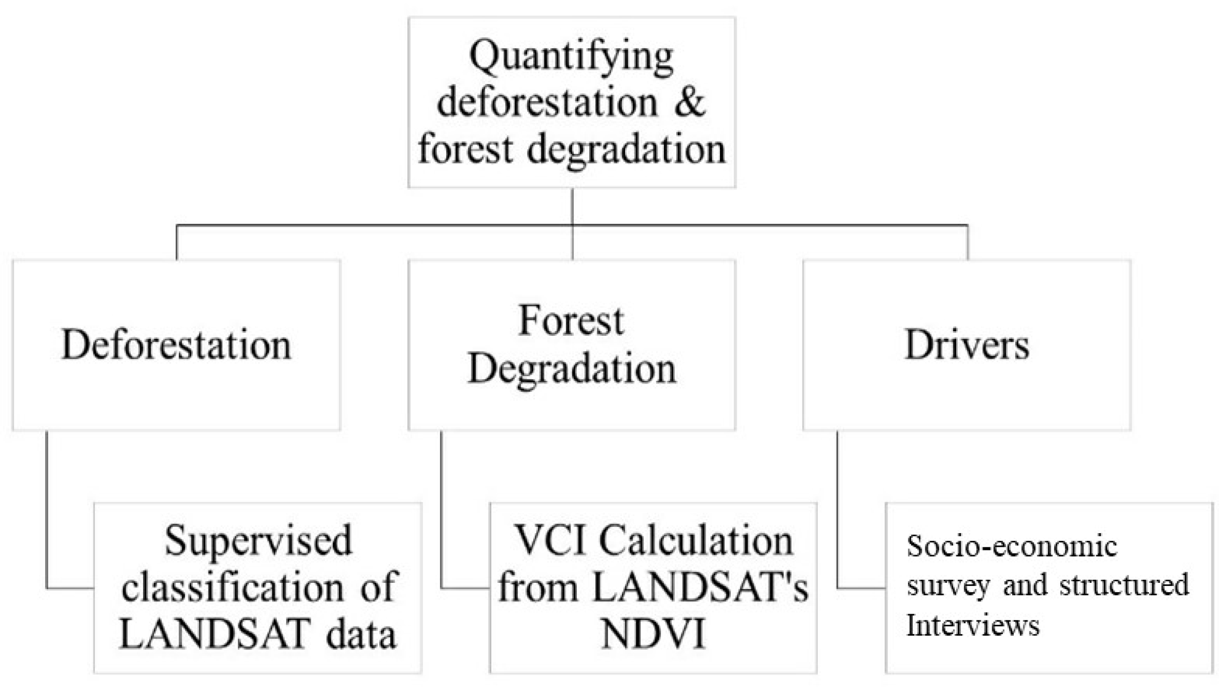 Forests 14 00201 g002