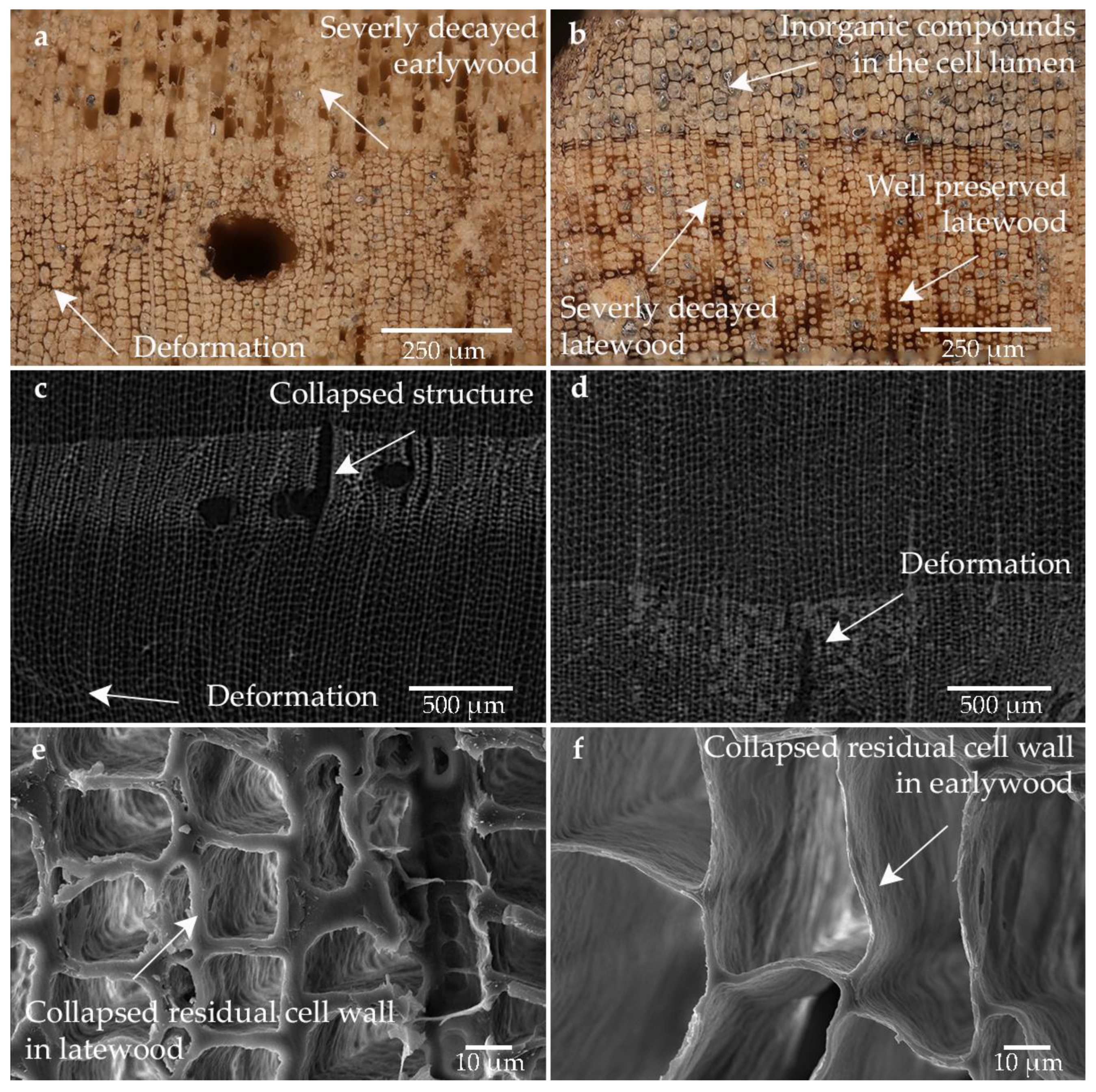 Forests 14 00211 g002