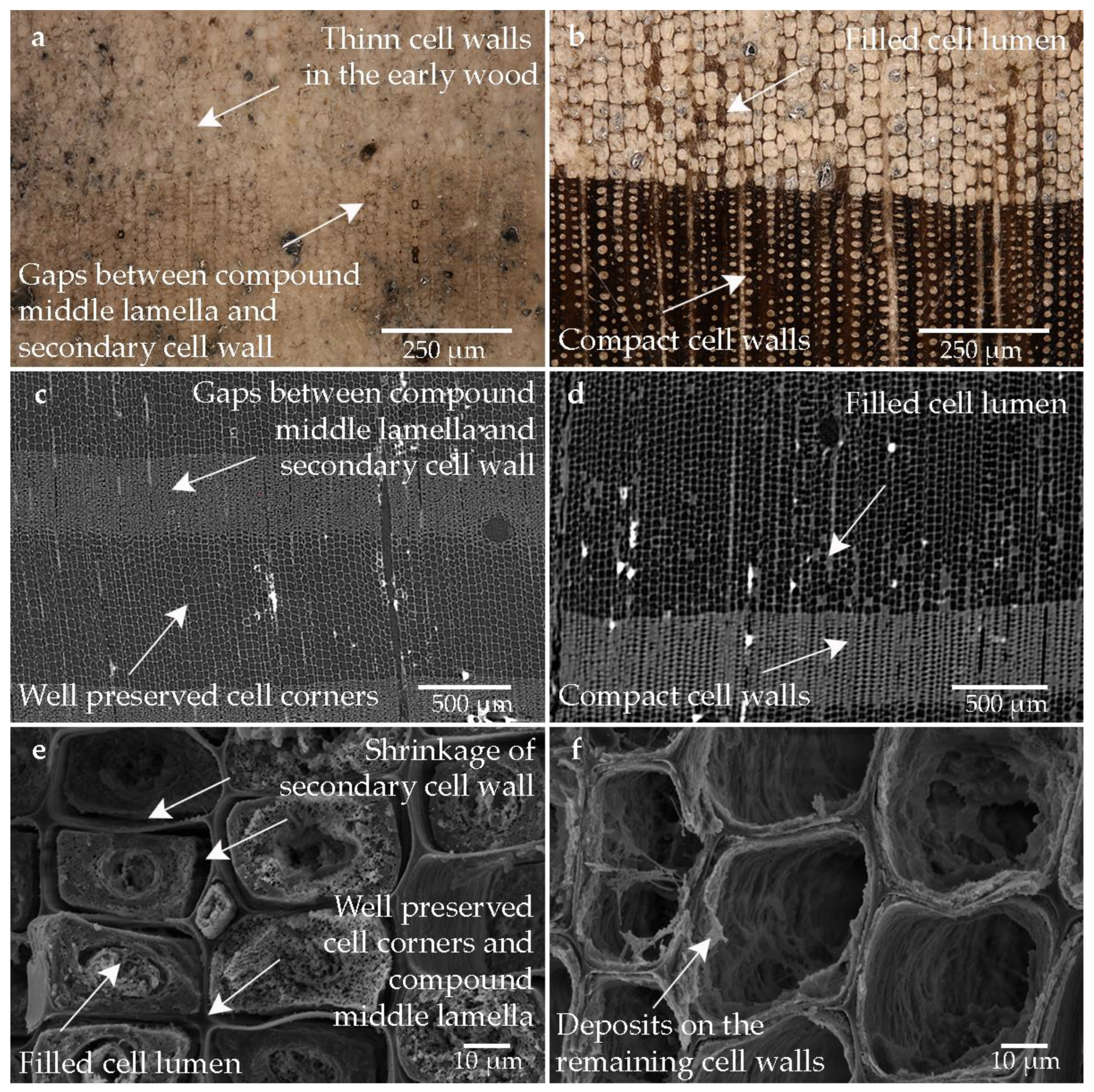 Forests 14 00211 g003
