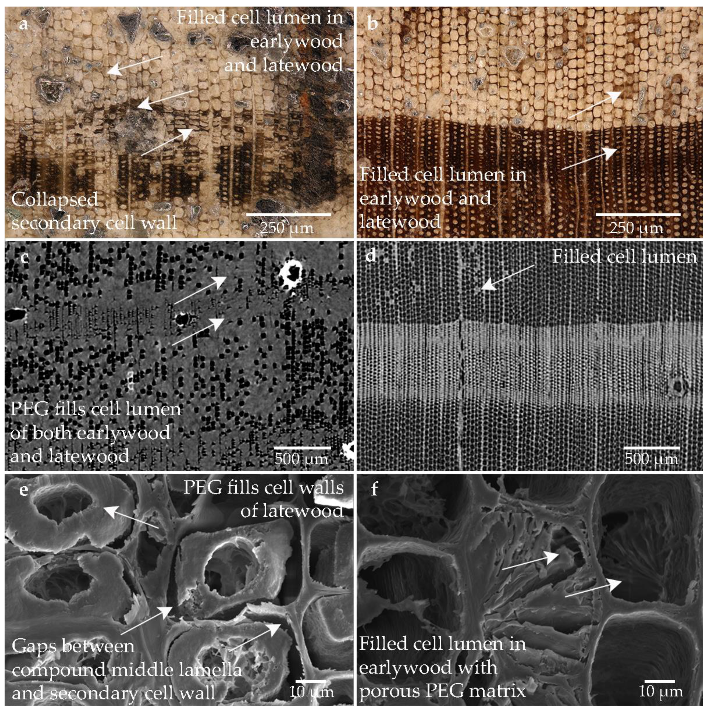 Forests 14 00211 g007
