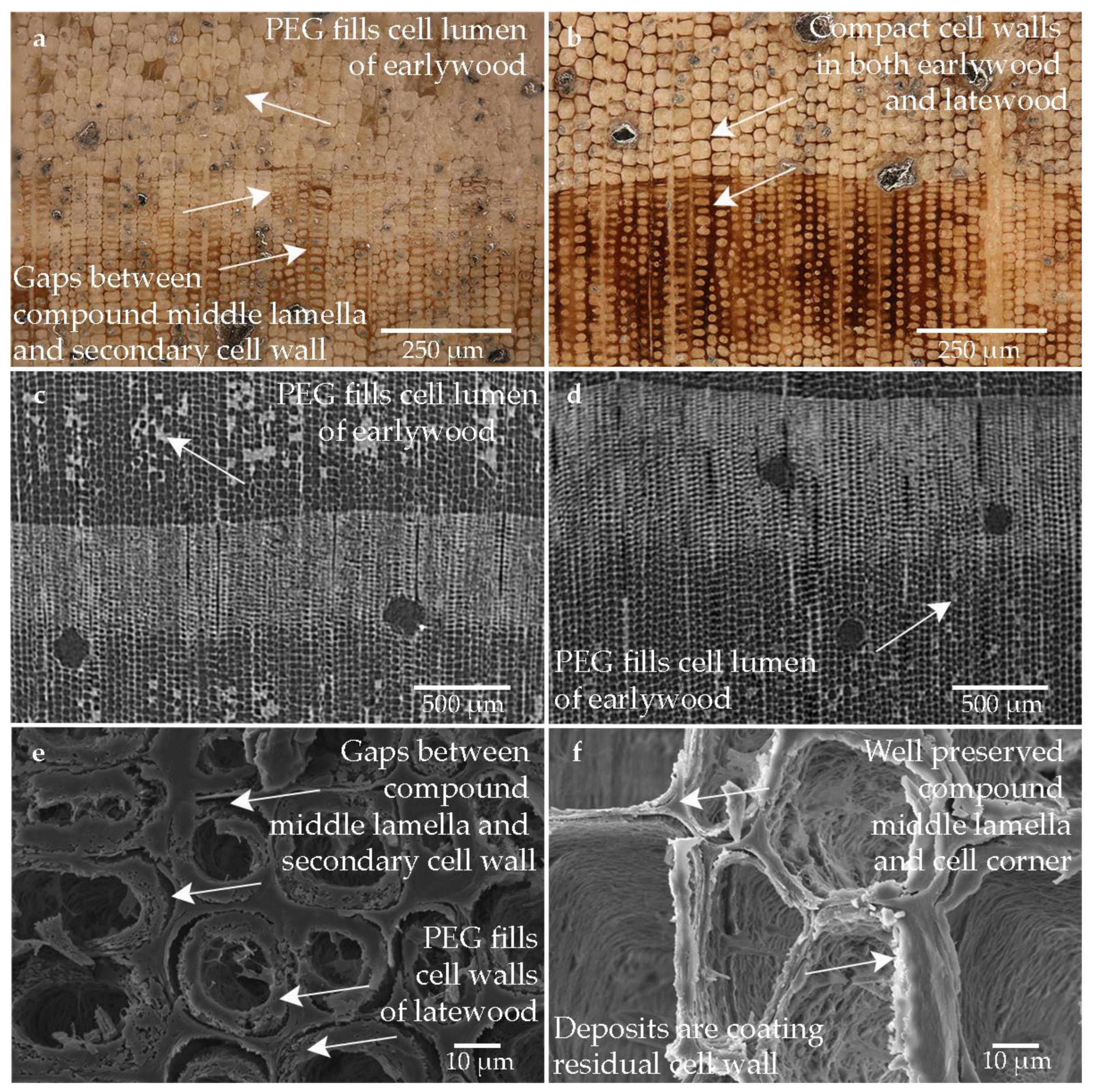 Forests 14 00211 g008