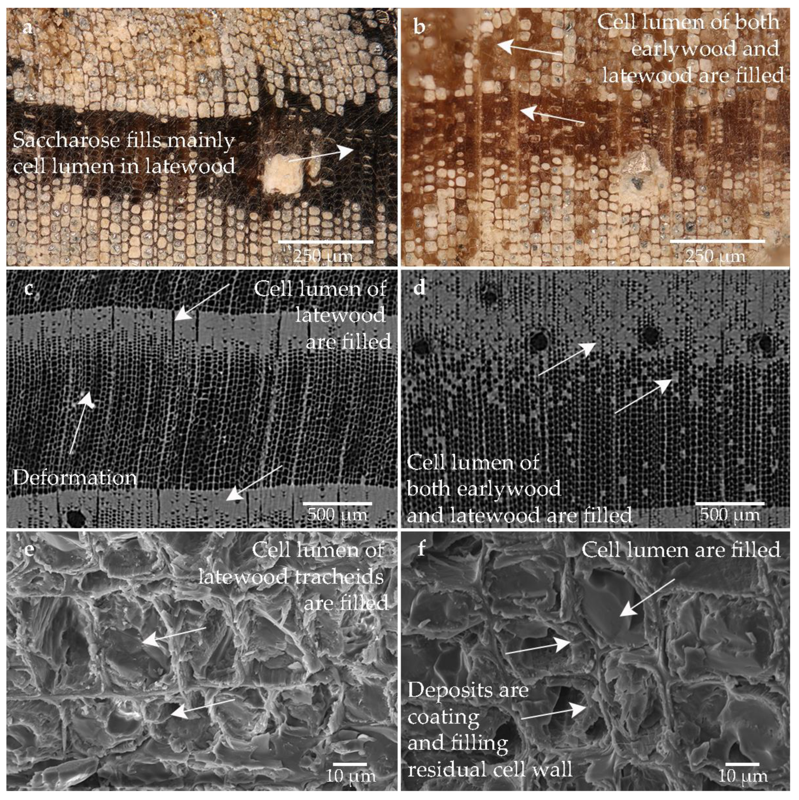Forests 14 00211 g009