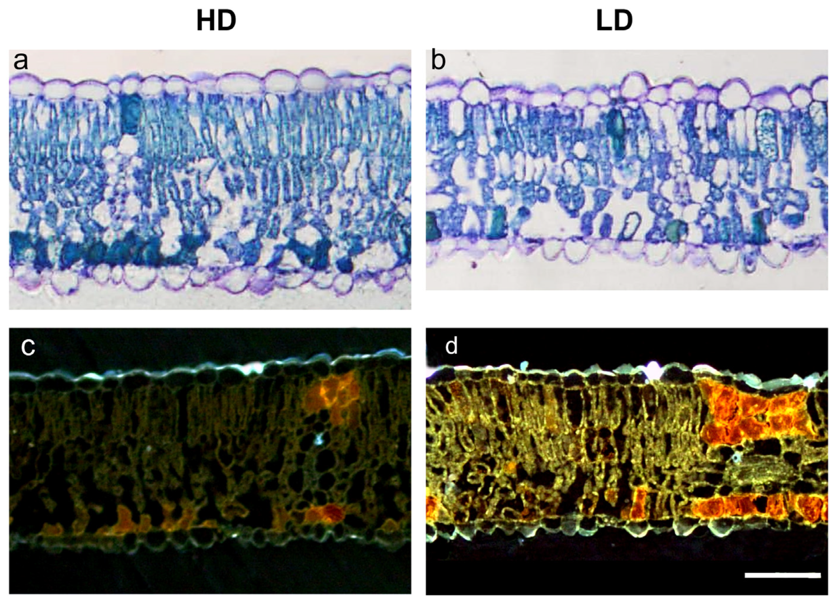 Forests 14 00212 g002