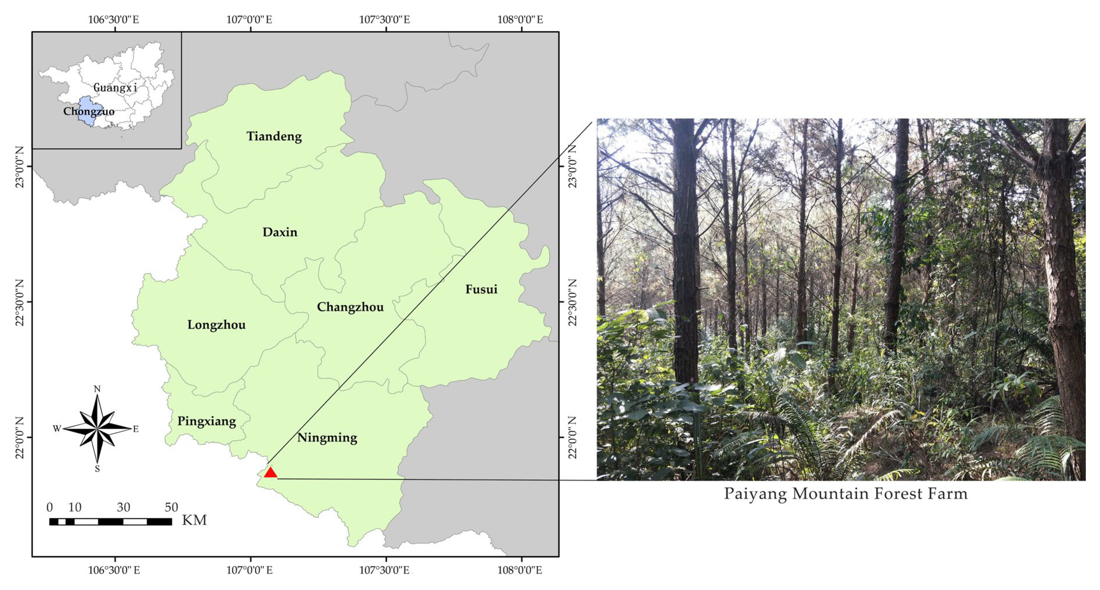 Forests 14 00213 g001 Forests 14 00213 g001