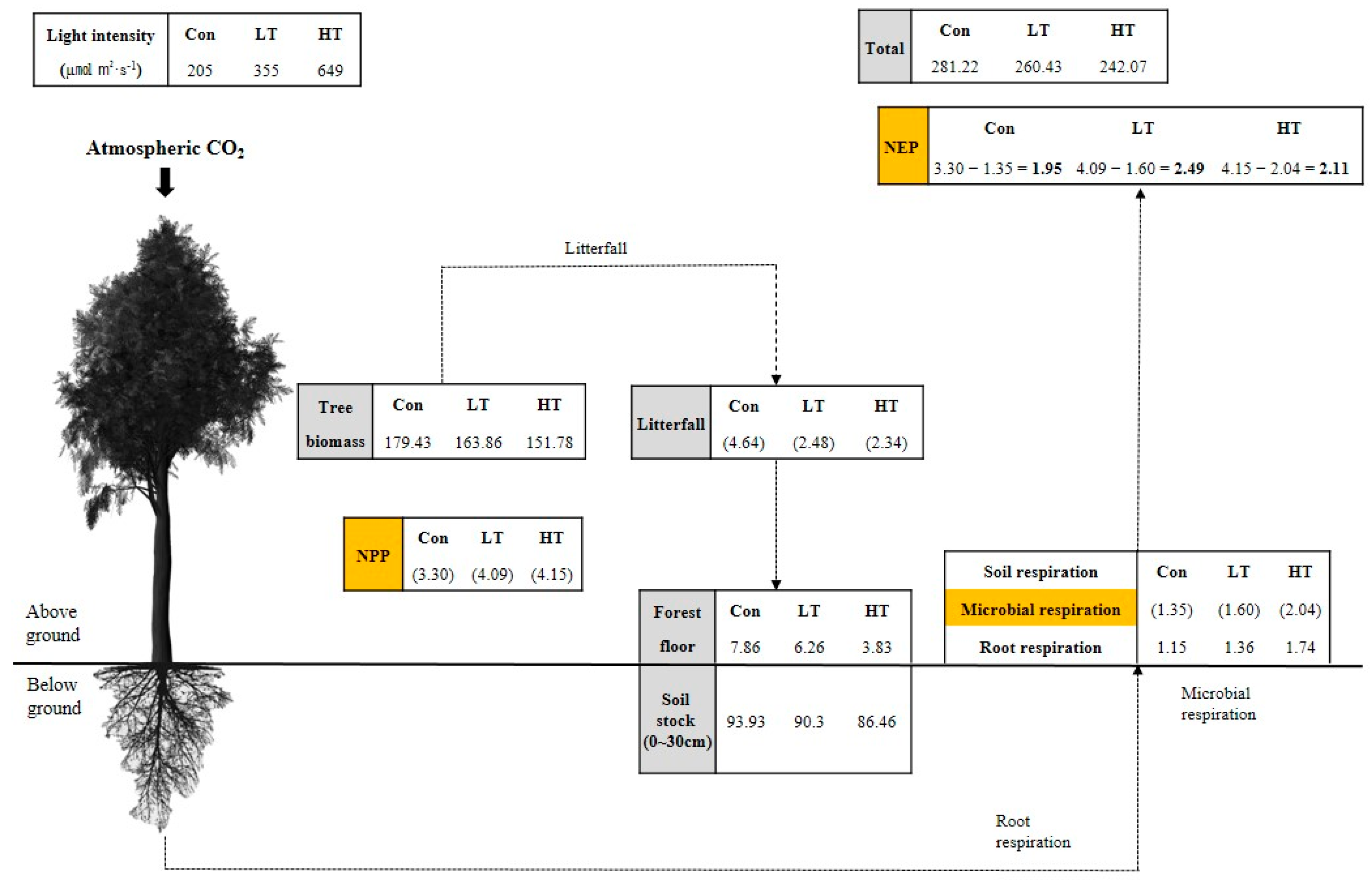 Forests 14 00217 g003