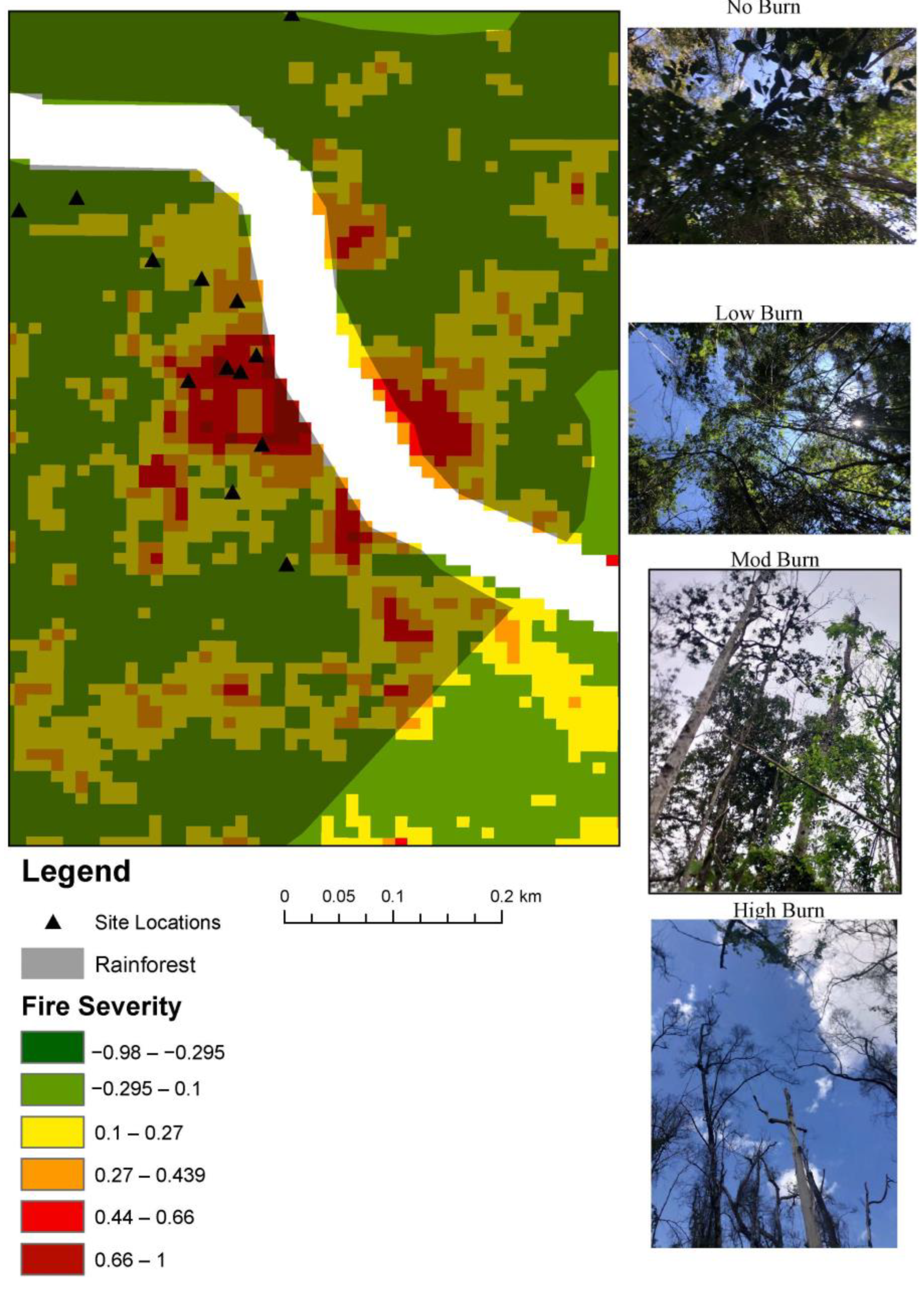 Forests 14 00222 g002
