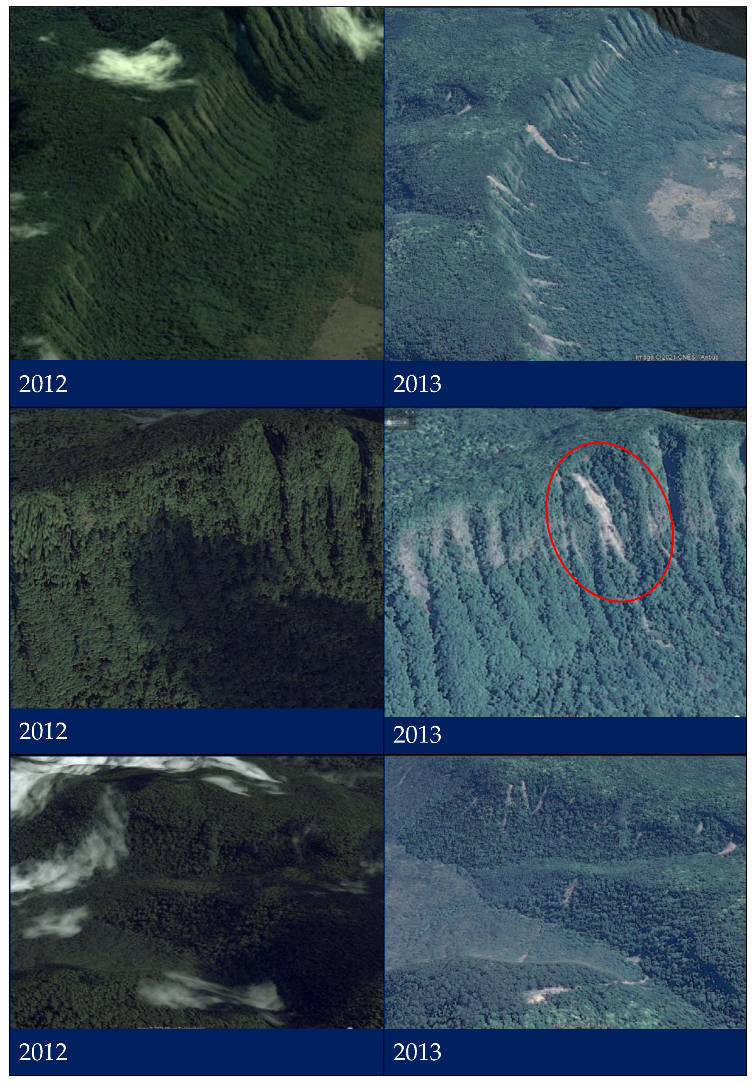 Forests 14 00222 g003