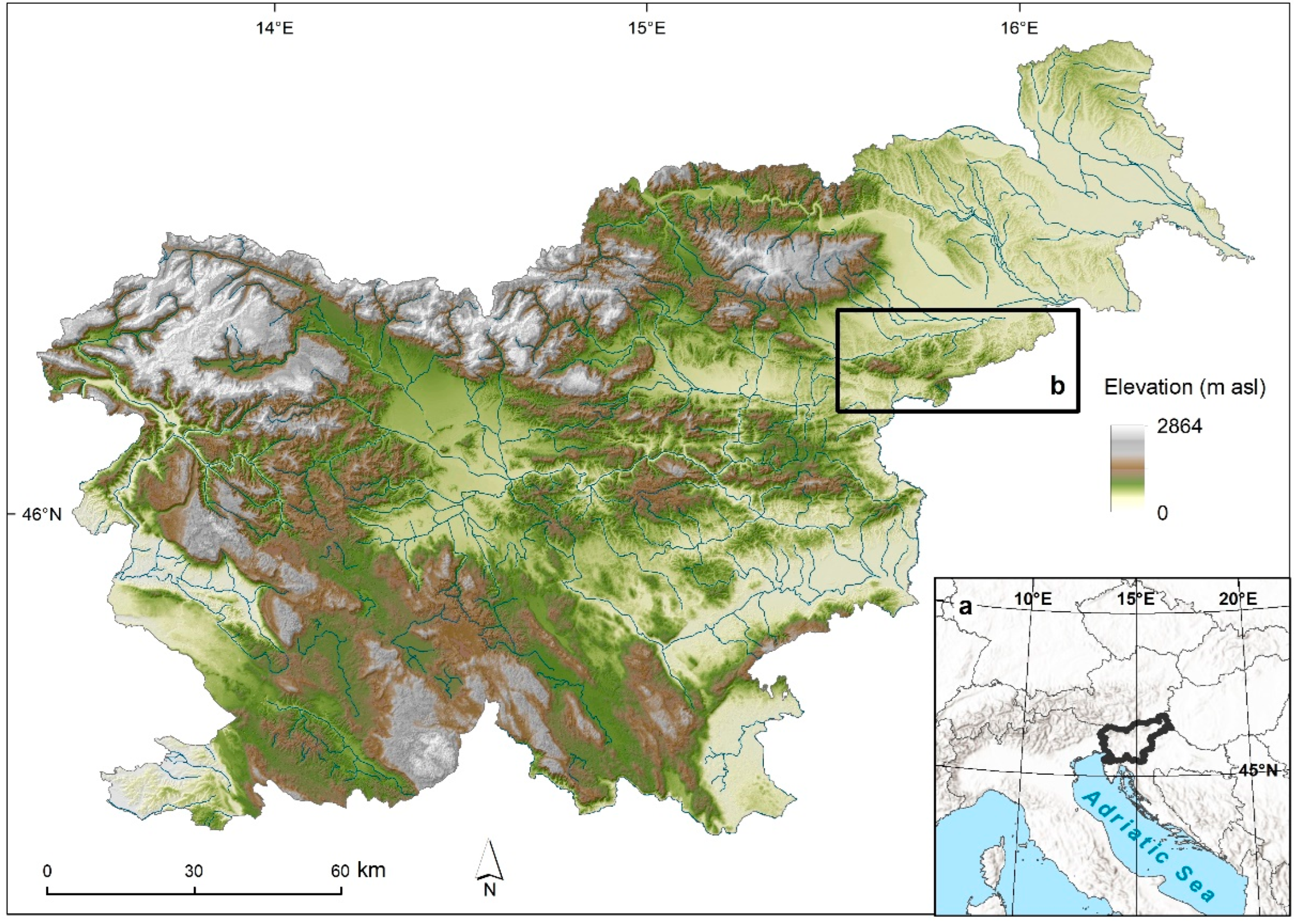 Forests 14 00232 g001