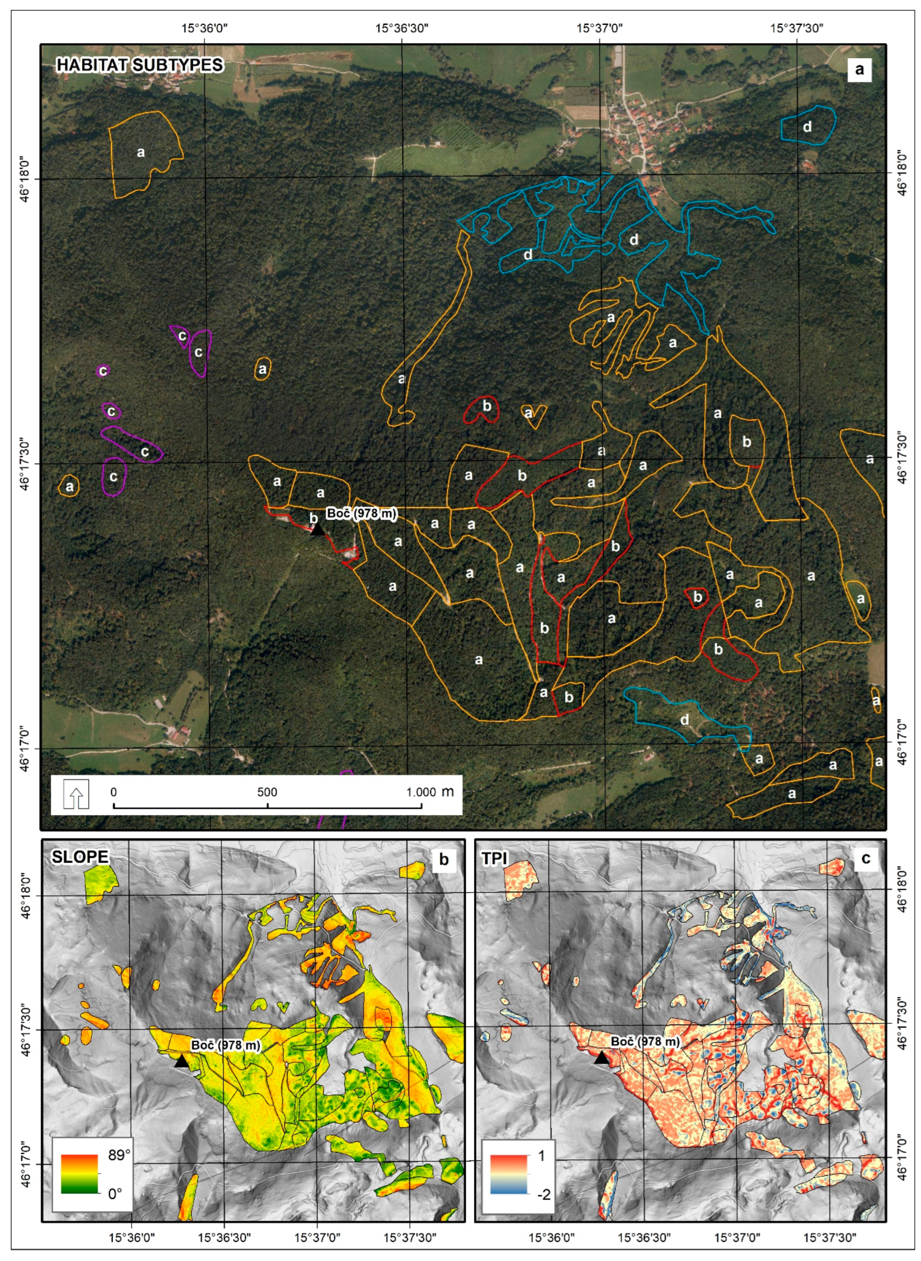 Forests 14 00232 g008